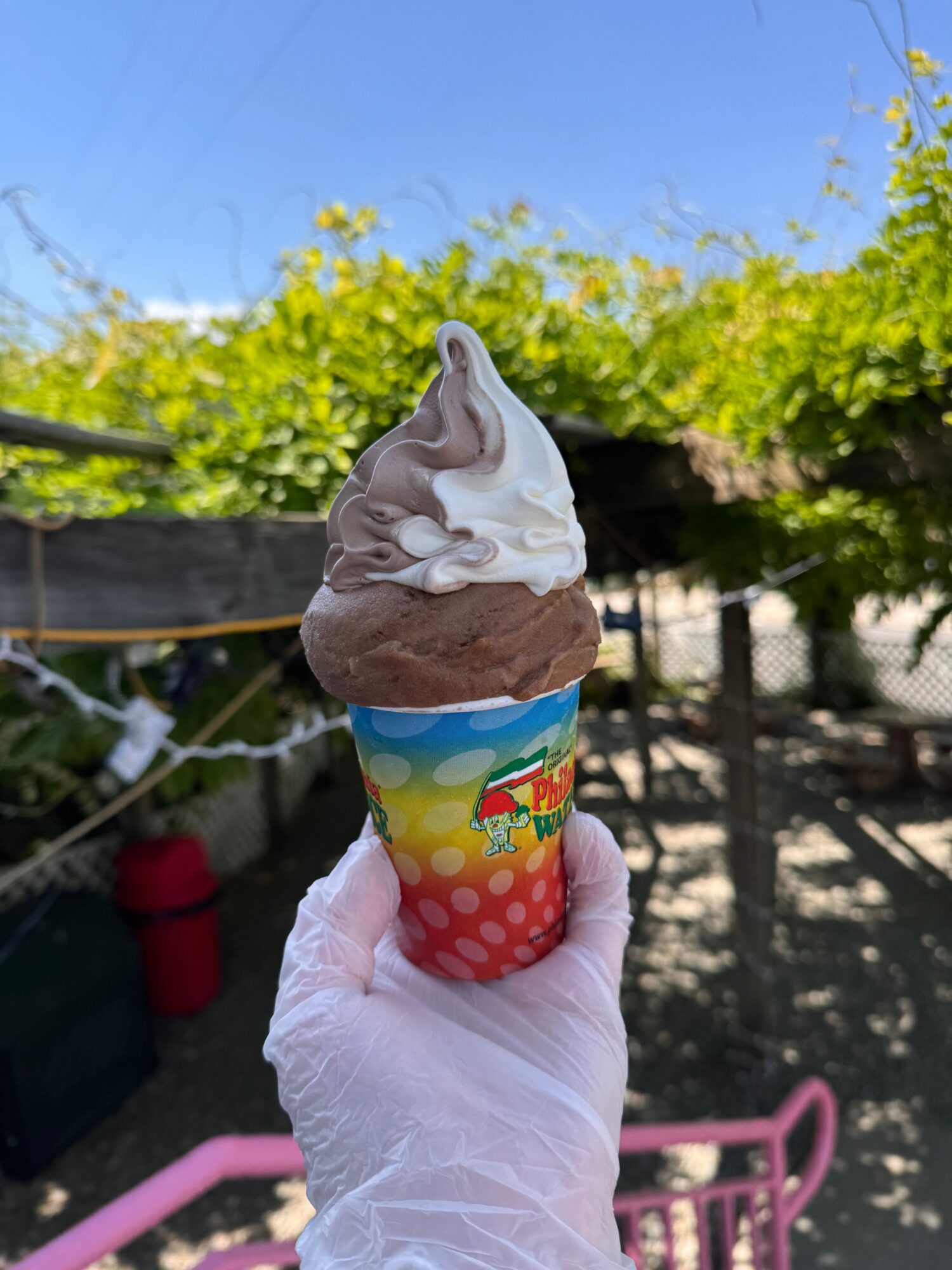 Person holding an ice cream cone outdoors with trees and blue sky in background.
