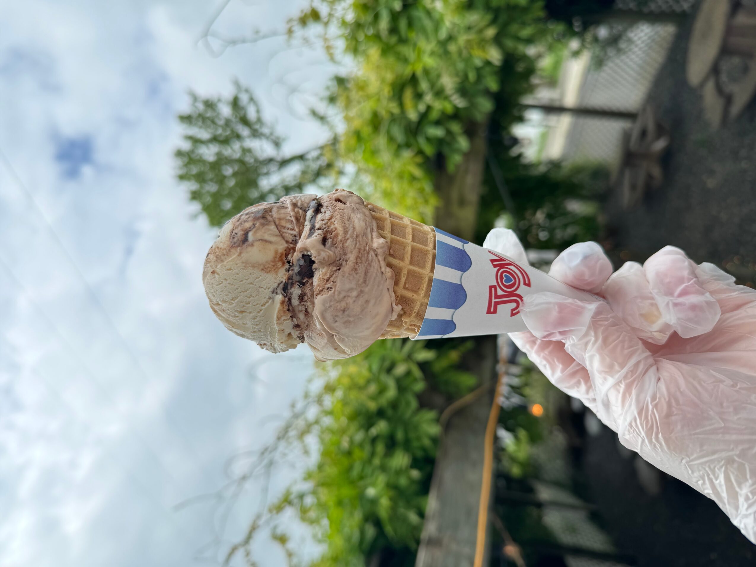 Hand holding an ice cream cone with two scoops, outdoors with trees and sky in background.