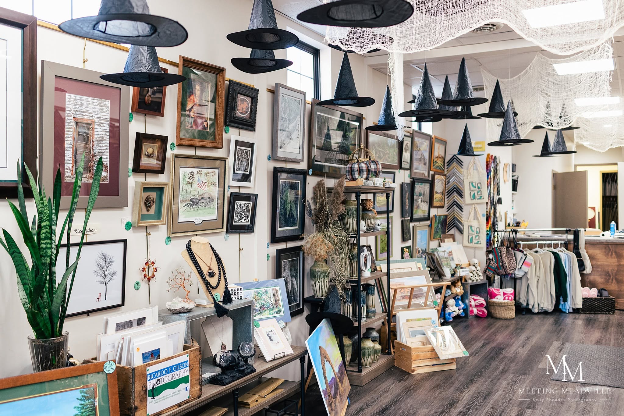 Gallery wall with framed artwork, plants, and decorative items in a store interior, with hanging cone-shaped lights overhead.