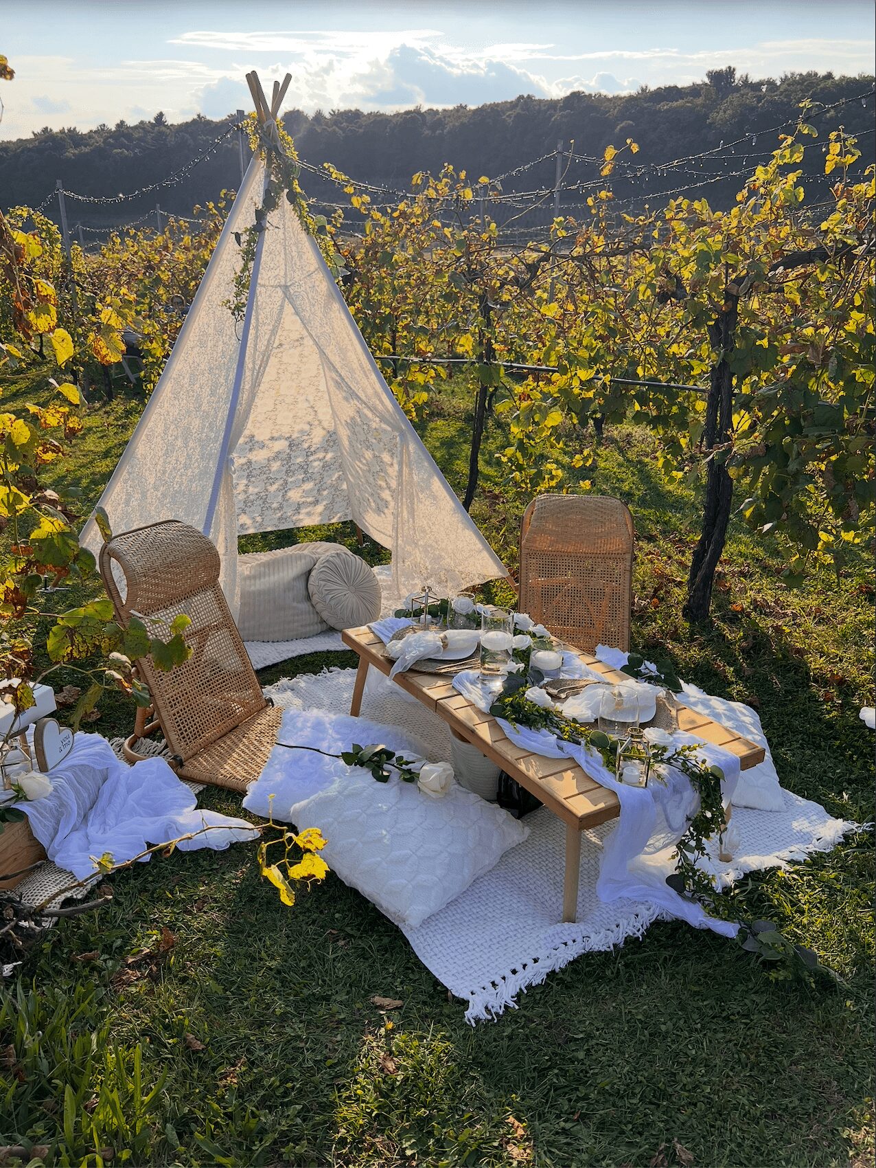 Outdoor picnic setup with a teepee, low table, cushions, and greenery in a vineyard landscape.