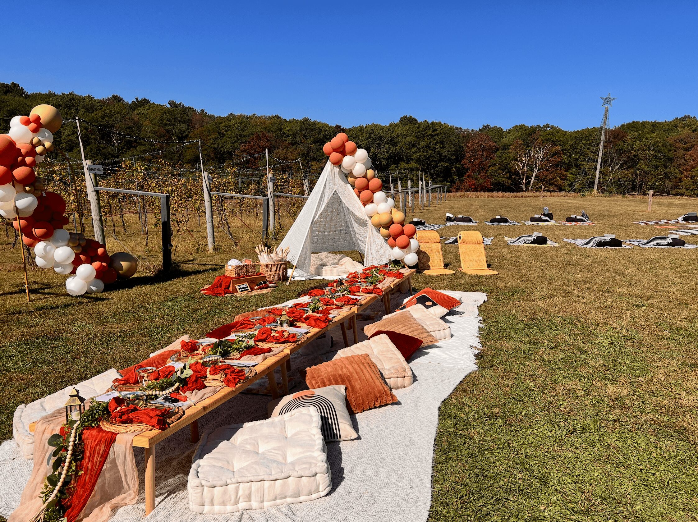 Outdoor setup with a decorated table, pillows, and a teepee, under a clear blue sky, with trees in the background.