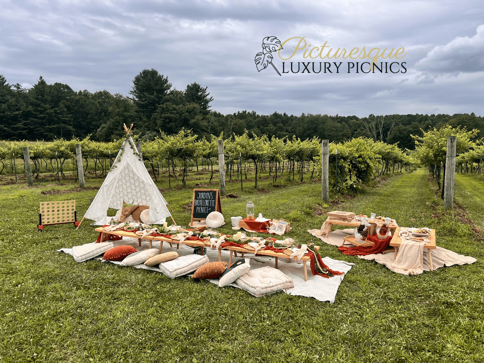 Picnic setup with cushions, blankets, and food on grass in a vineyard, cloudy sky, and trees in background.