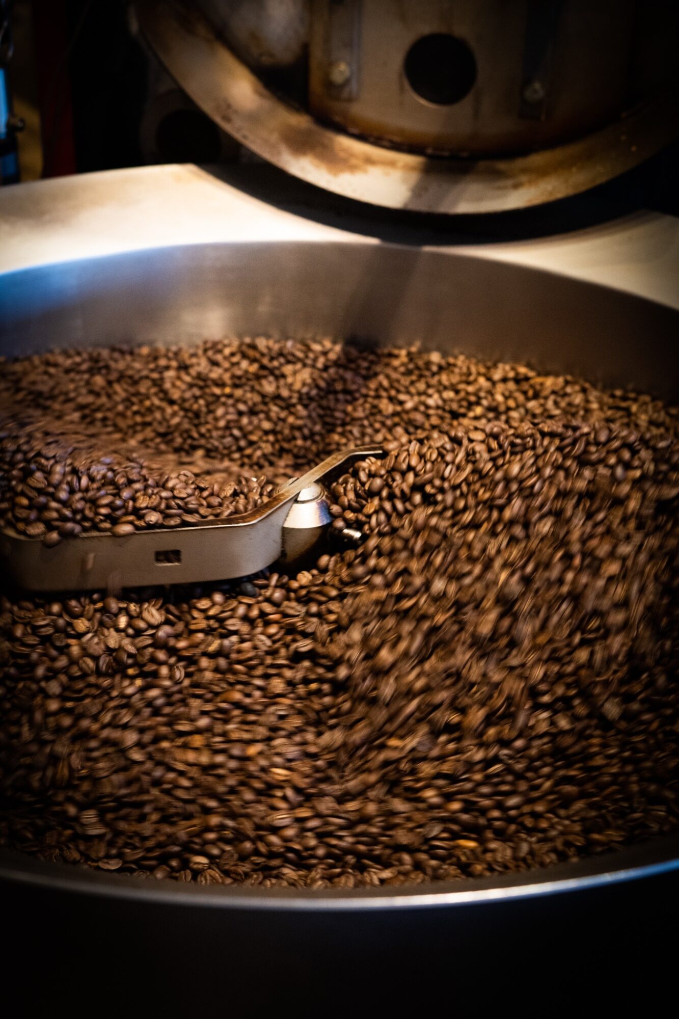 Roasting coffee beans in a large industrial drum with a metal paddle inside, surrounded by a metallic interior.