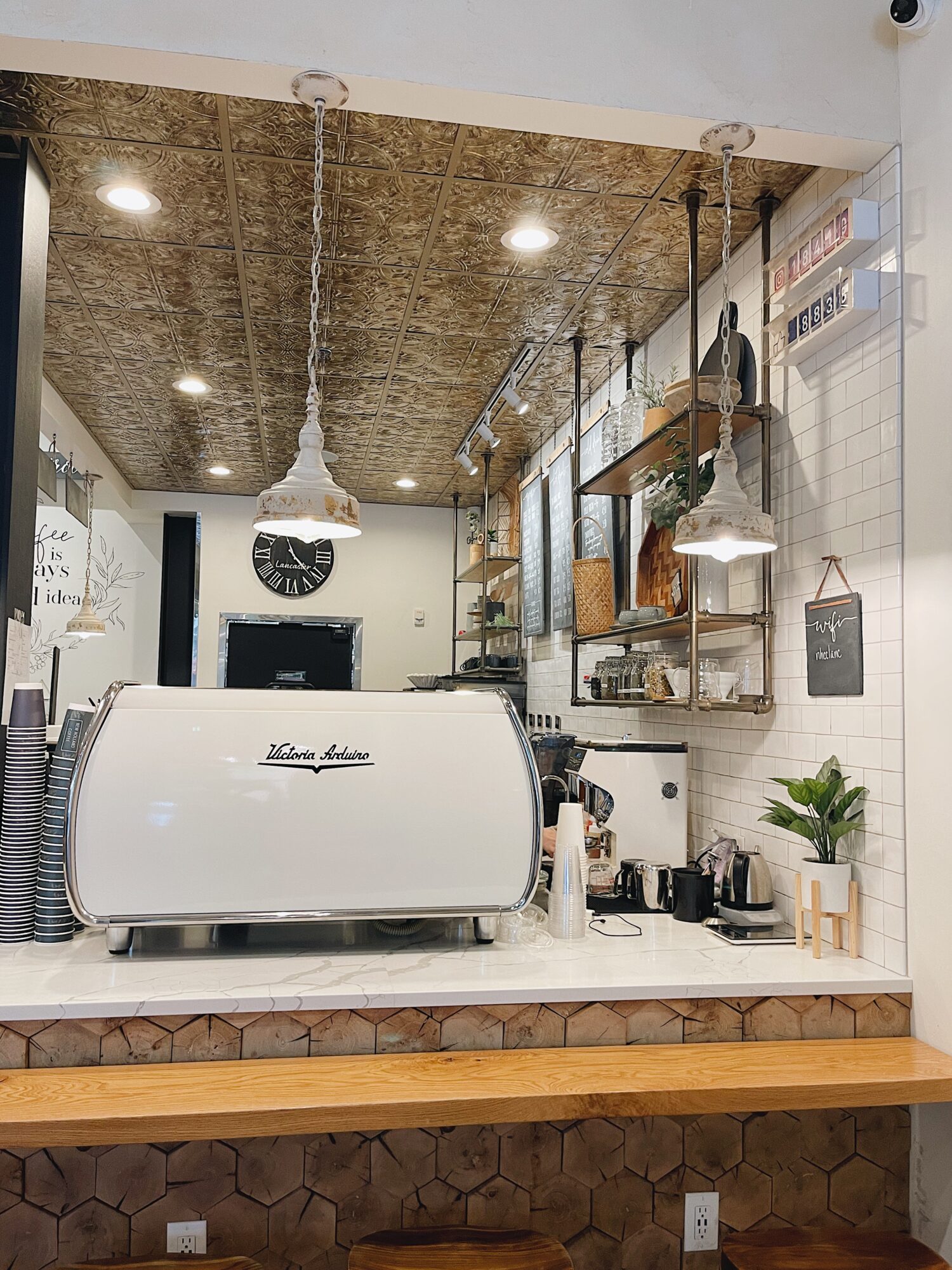 Coffee shop counter with espresso machine, shelves, and a plant, with a window and hanging lights in the background.