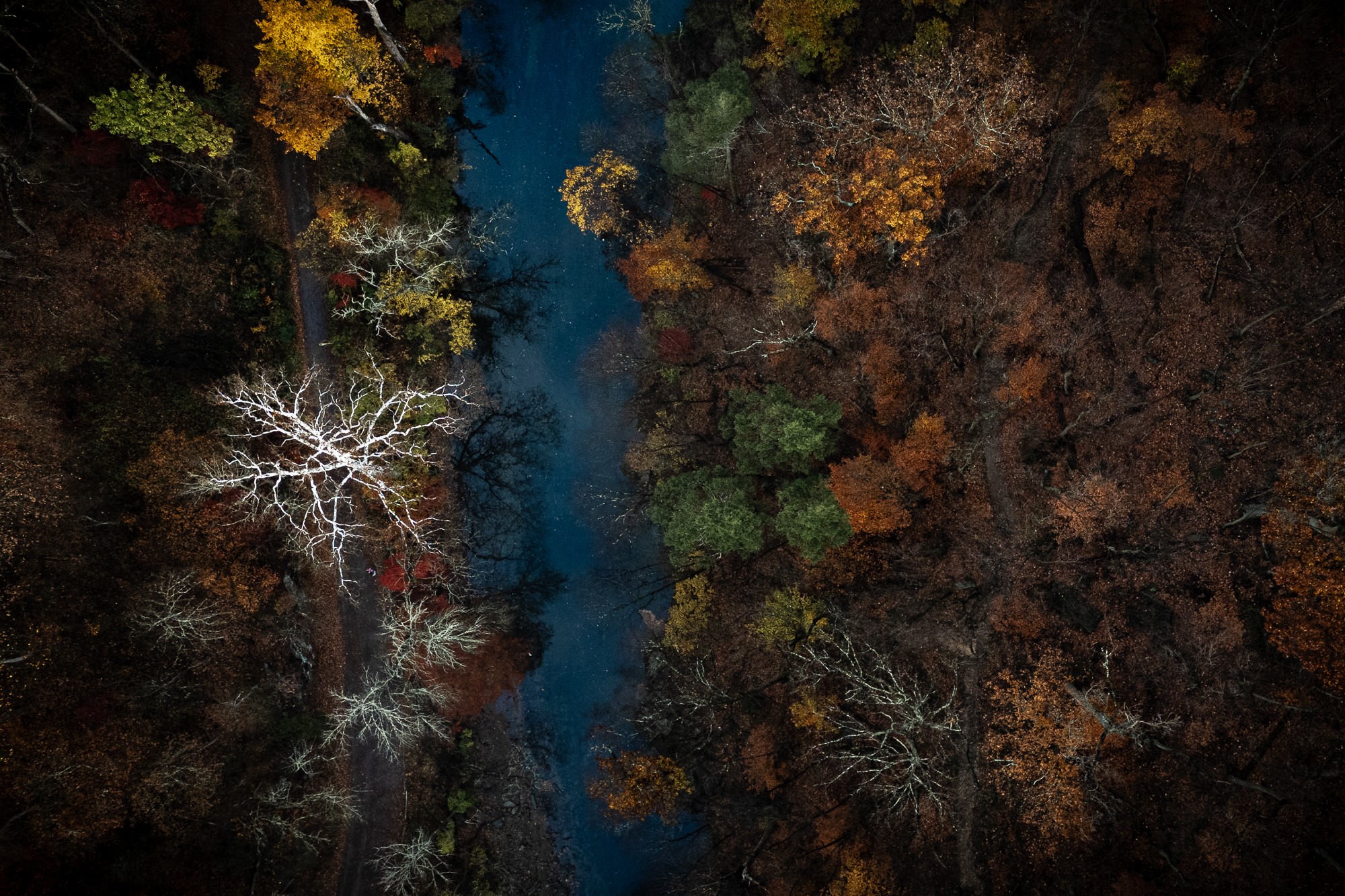 Aerial view of a river flowing through a forest with colorful autumn trees, some with bare branches.