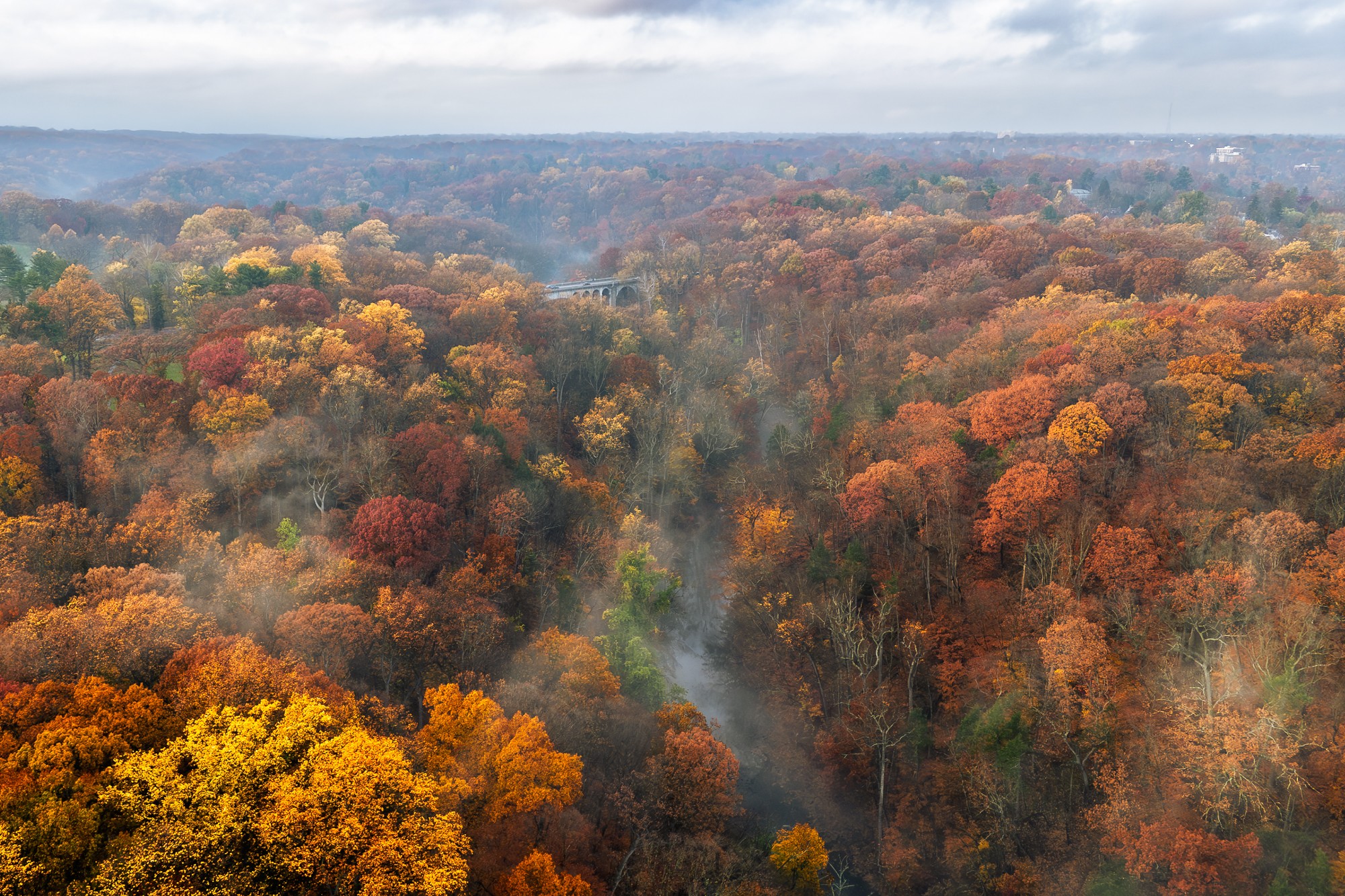 Aerial view of a forest with colorful autumn trees and a cloudy sky in the background.
