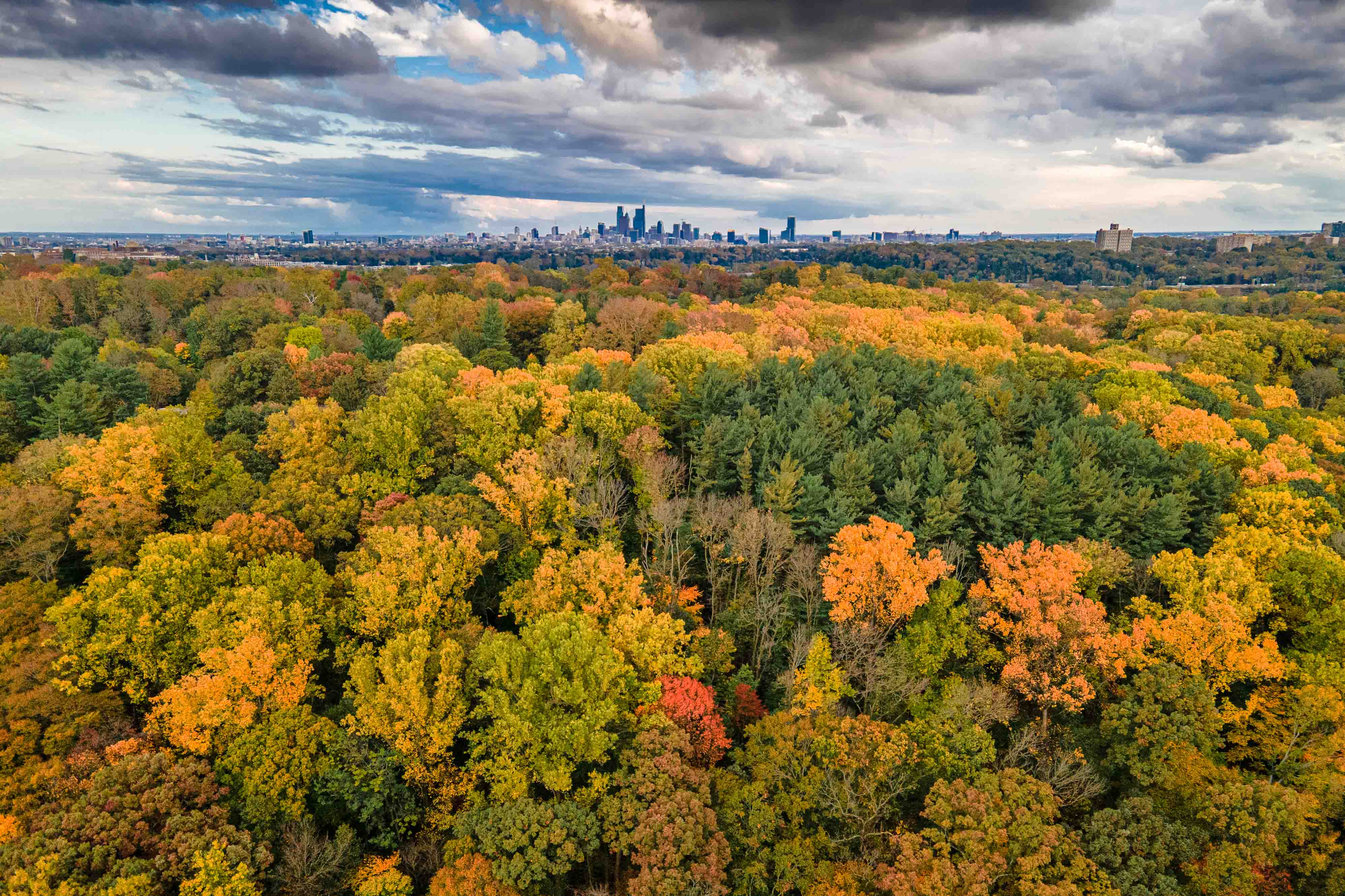 Aerial view of a forest with colorful autumn trees and a city skyline in the distance under a cloudy sky.