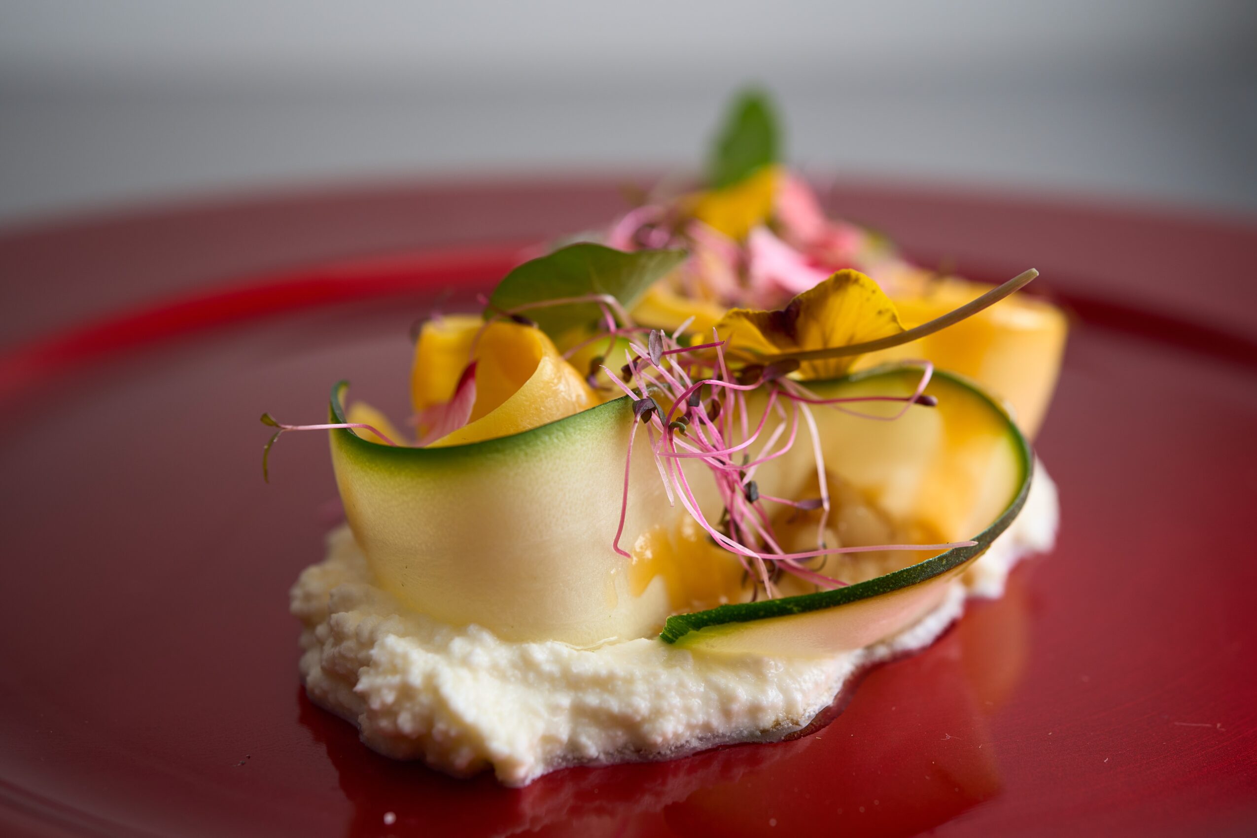 Close-up of a gourmet appetizer with cucumber, yellow fruit, microgreens, and edible flowers on a white base, on a red plate.
