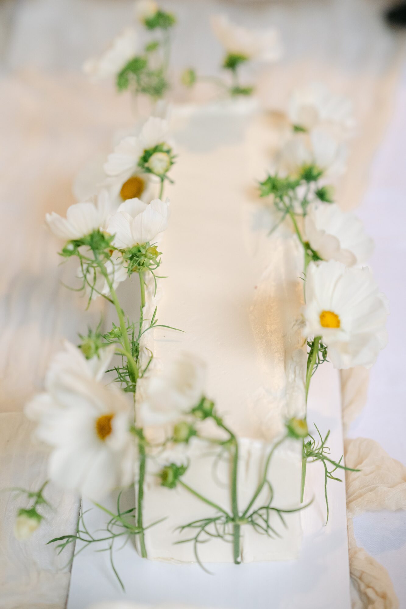 Close-up of a white floral cake decorated with daisies and green foliage, on a white surface.