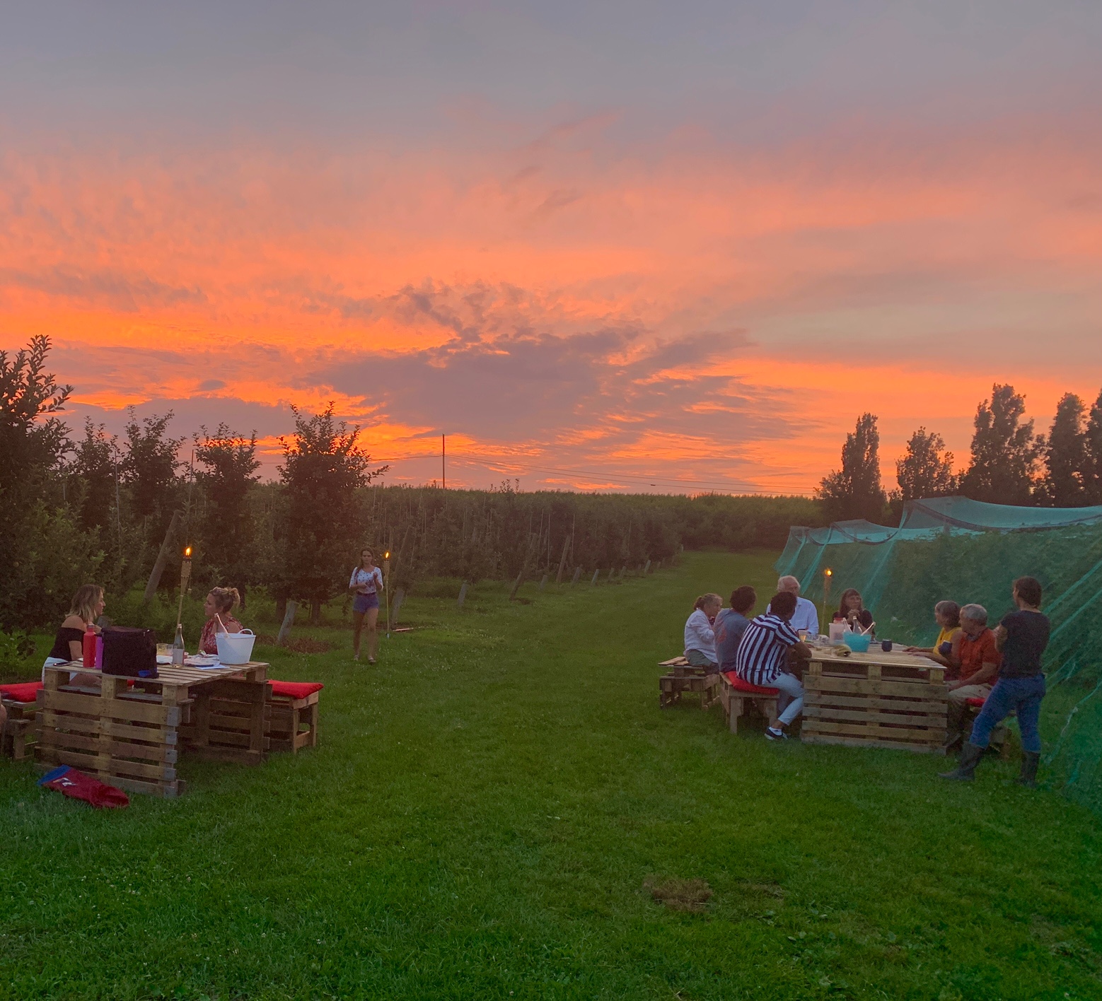 People gather outdoors at sunset, sitting on benches and pallets, with a green field and trees in the background.
