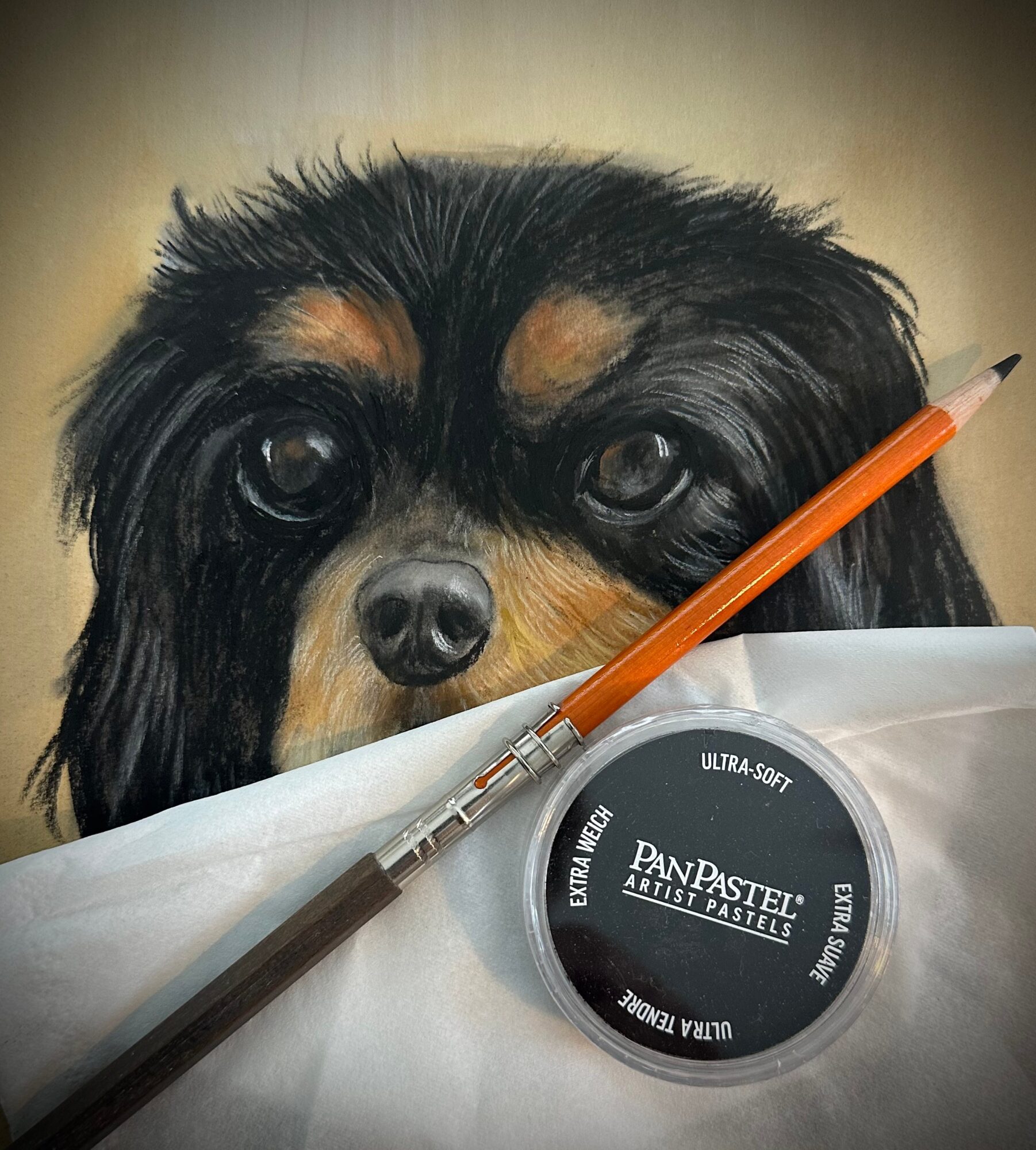Close-up of a dog's face with a paintbrush and artist pastels in front, on a white surface.