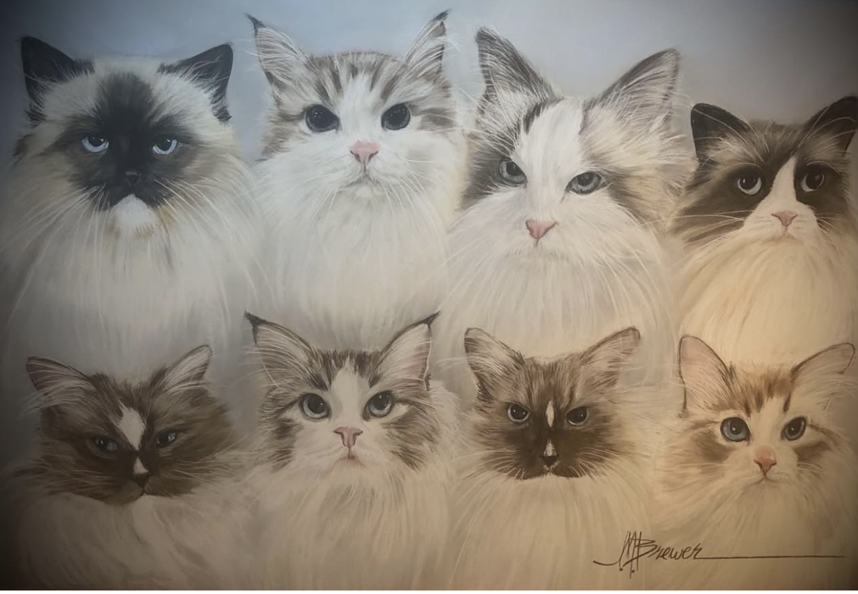 Eight cats with various fur patterns and colors, arranged in two rows, facing forward.