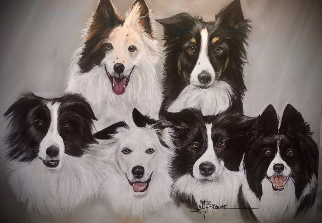 Six dogs with various black and white fur patterns, some with open mouths, posing together against a neutral background.