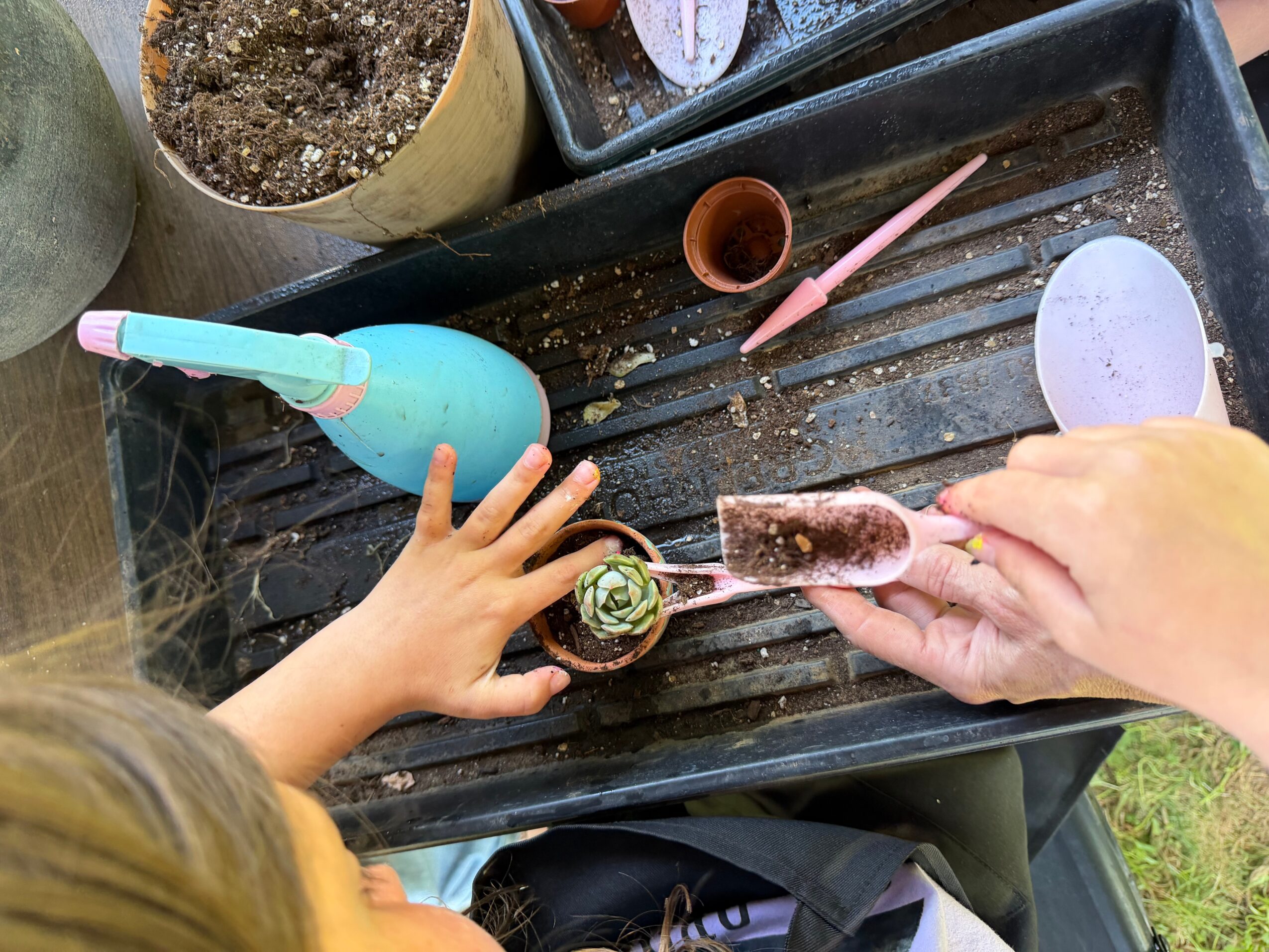 Child's hand holding a small plant, with gardening tools and a watering bulb on a tray, outdoors.