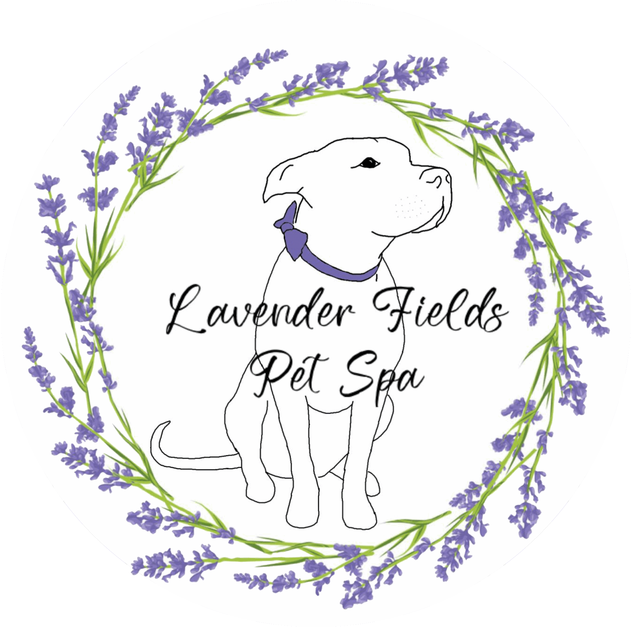Dog with a lavender bow, surrounded by lavender flowers, with text 'Lavender Fields Pet Spa'.