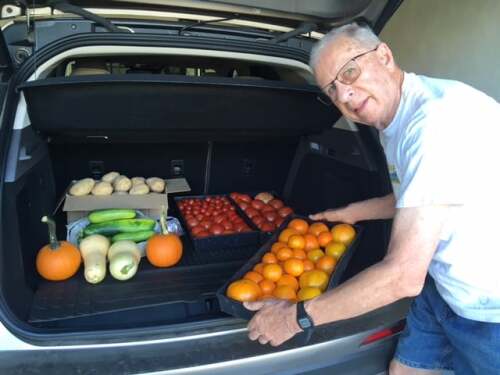 Elderly man with glasses and white shirt placing oranges in car trunk filled with vegetables and fruits.