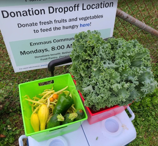 Fresh vegetables and fruits next to a donation sign at a community drop-off location, with a large leafy green vegetable nearby.