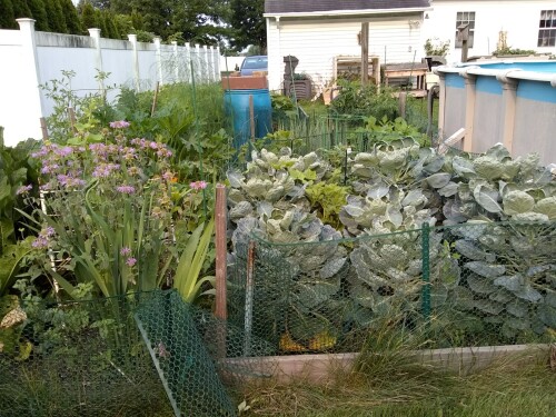 Garden with flowering plants, vegetables, and a fence, with houses and storage containers in the background.