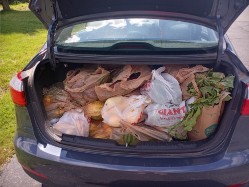 Open car trunk filled with grocery bags containing vegetables and other items, parked outdoors on a driveway.