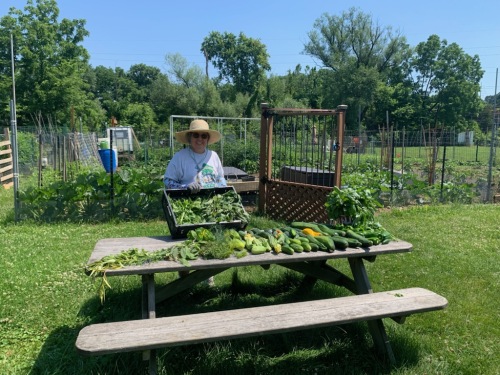 Person wearing a hat sitting behind a table with vegetables outdoors, with a garden and trees in the background.