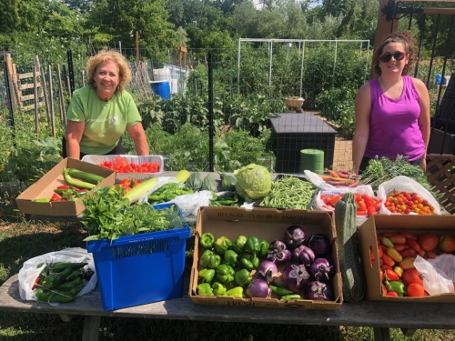 Two women stand behind a table with fresh vegetables outdoors, surrounded by garden and greenery.