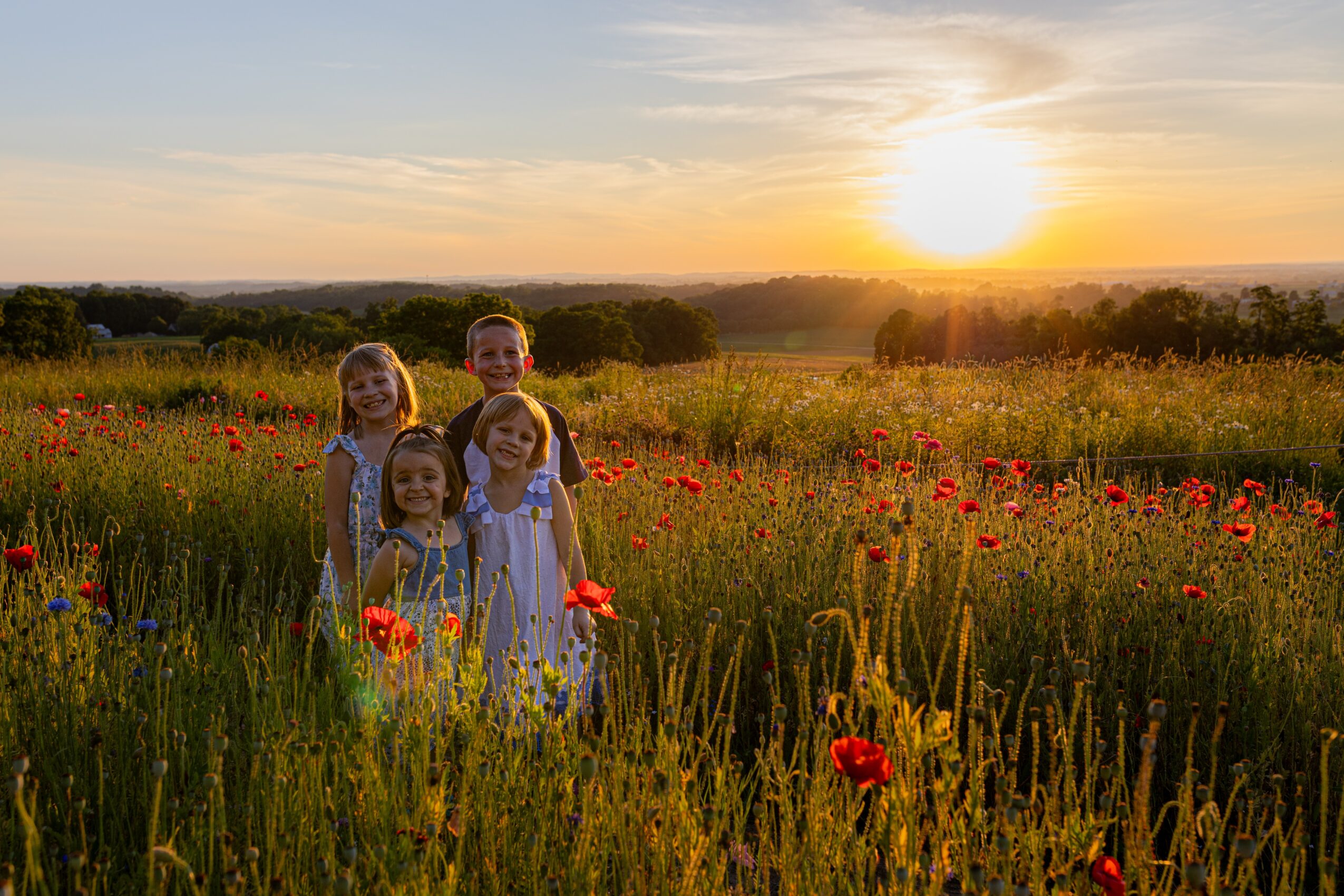 Four children in white dresses standing in a field of wildflowers during sunset, with a bright sun in the sky.