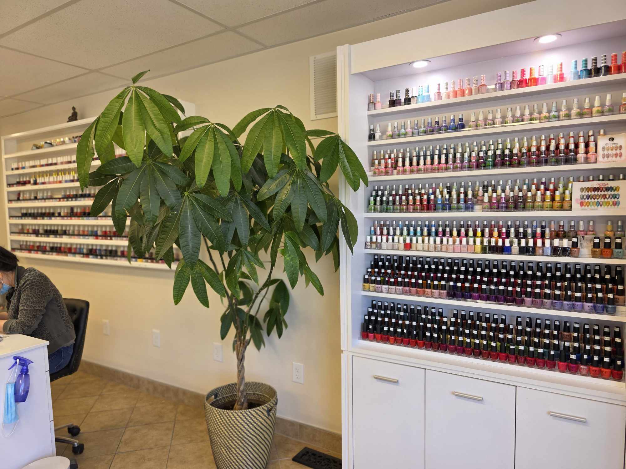 Indoor space with a large potted plant, nail polish display shelves, and a person sitting at a table.