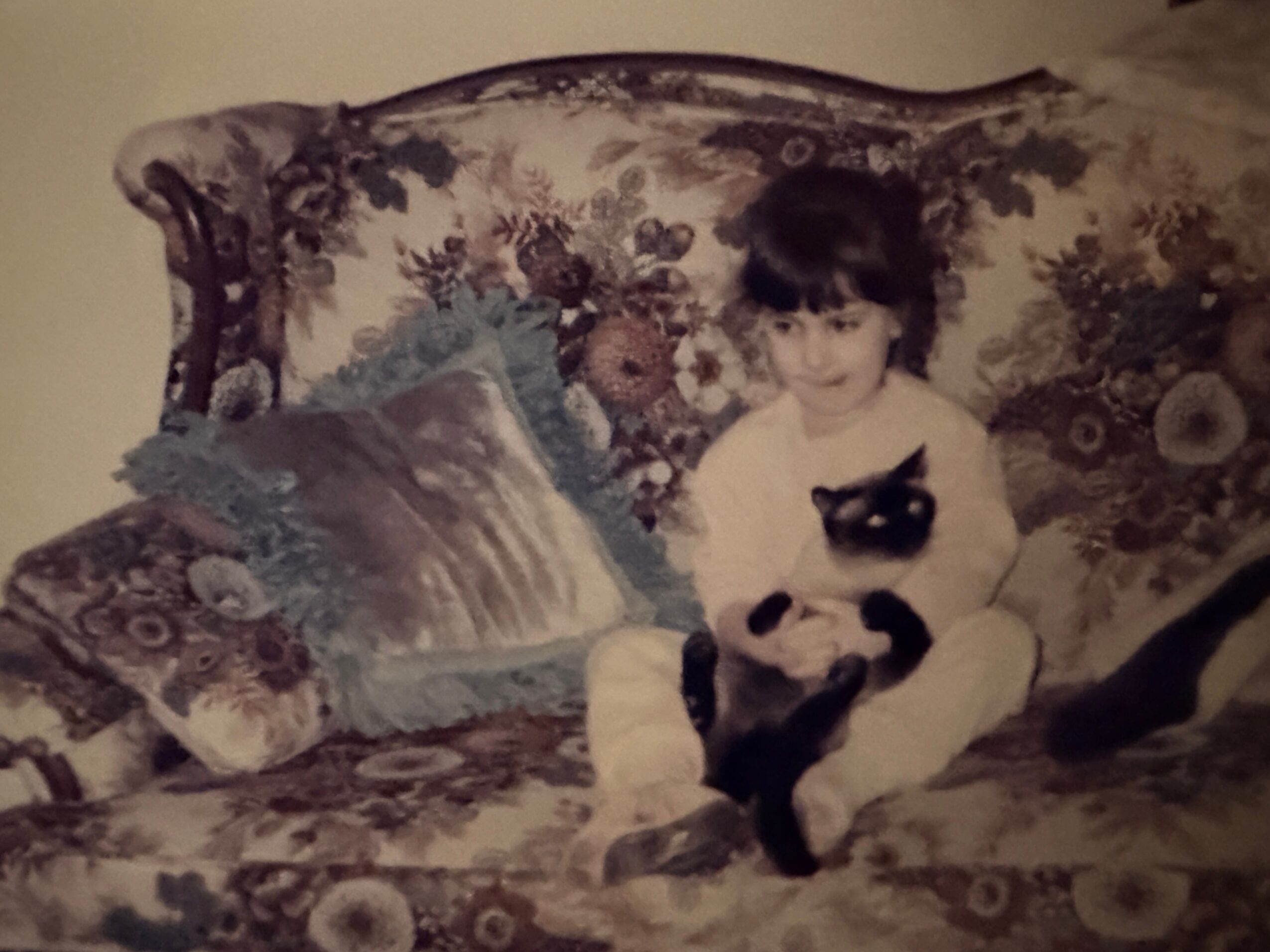 Child sitting on a floral-patterned sofa holding a black and white cat, with decorative pillows behind.