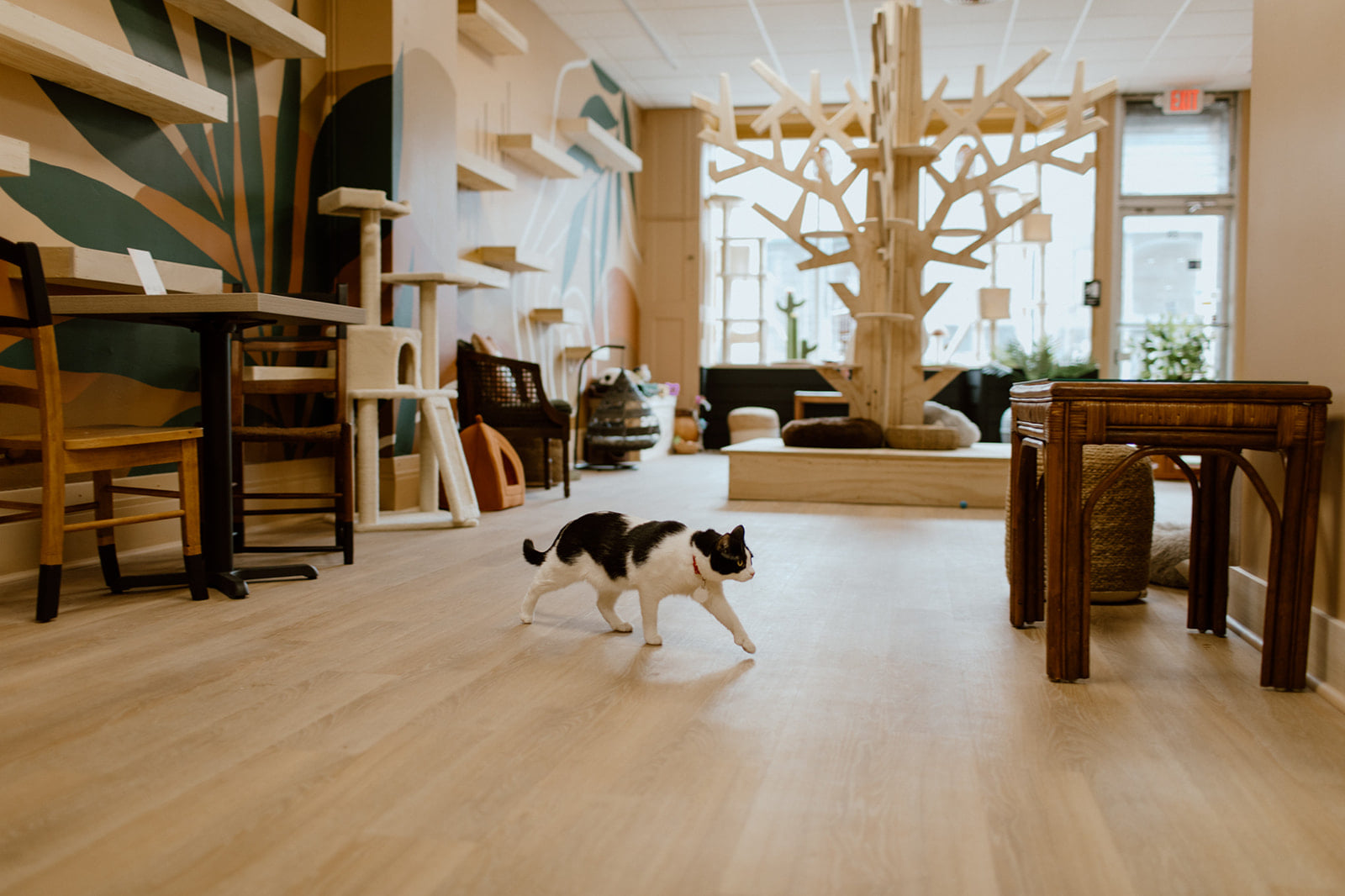 Two small dogs walk across a spacious, well-lit room with modern decor and a large tree sculpture in the background.