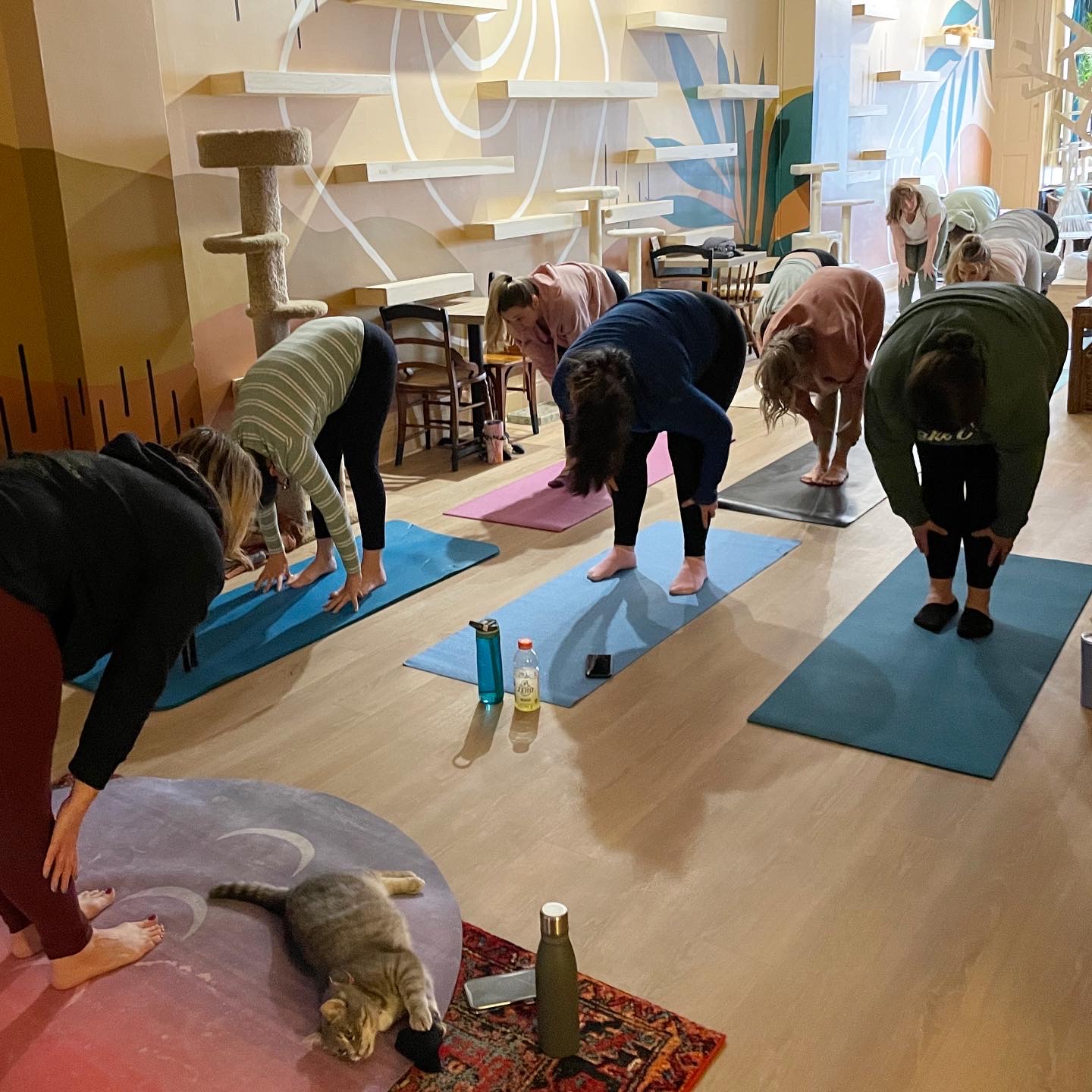 Group of people practicing yoga on mats in a bright room with large windows and decorative wall art.