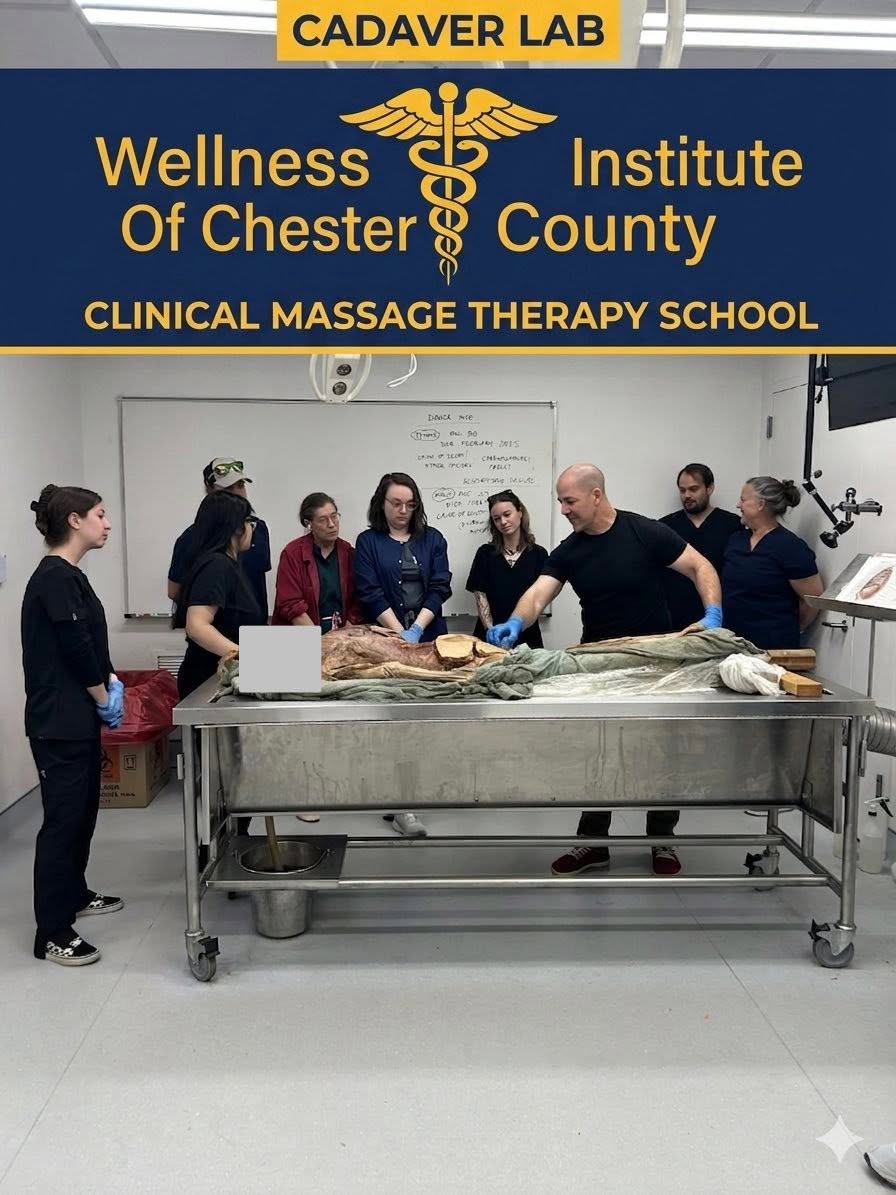 Group of people around a massage table in a classroom, with a whiteboard and medical equipment in the background.