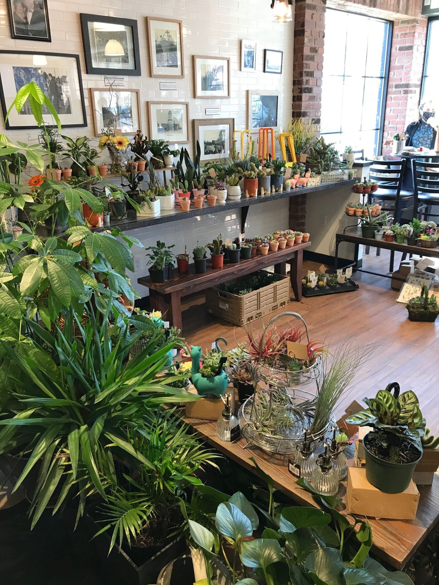 Interior of a flower shop with shelves of colorful flowers and plants, and a large window in the background.