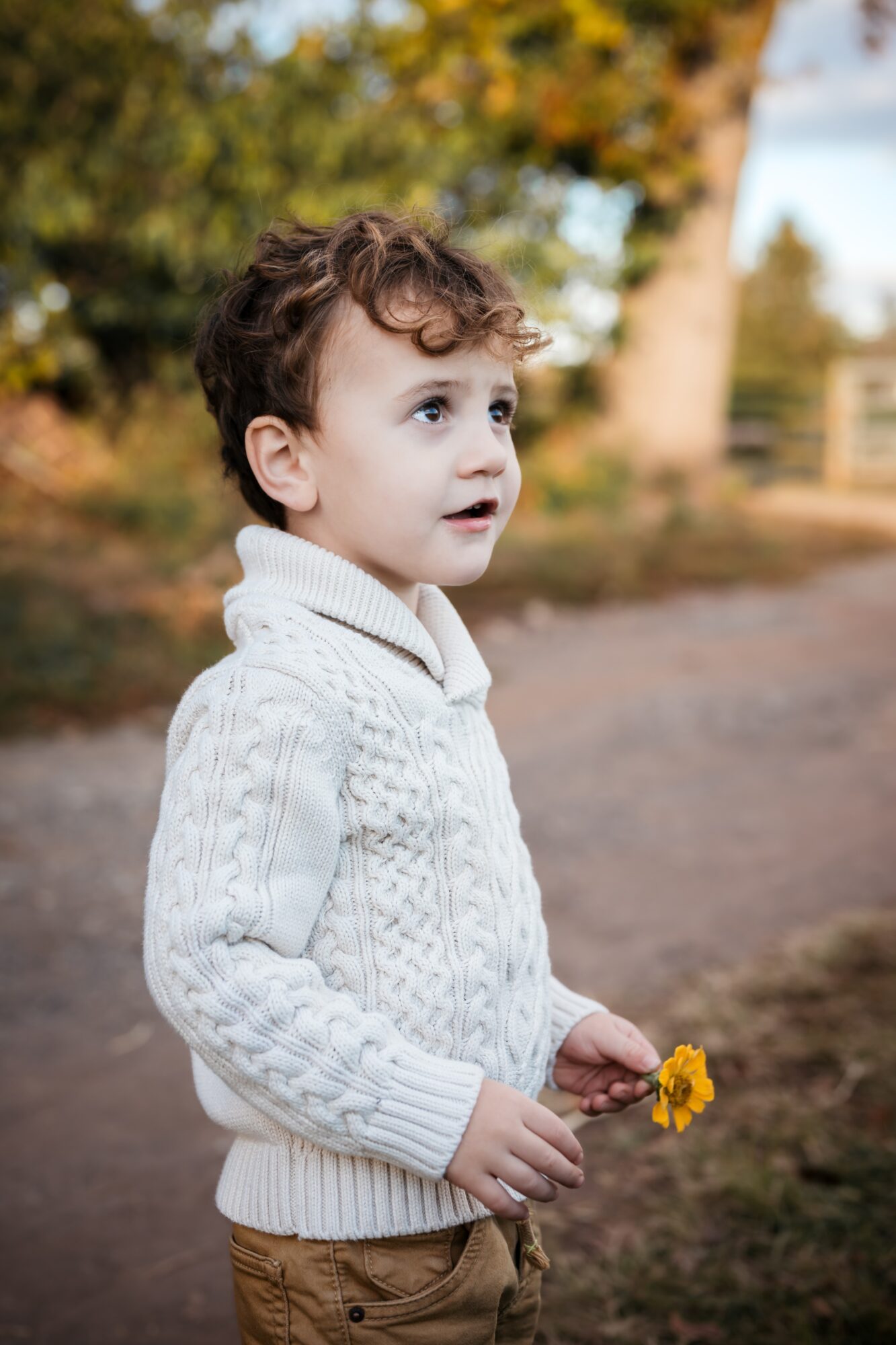 Young boy with curly hair wearing a white cable-knit sweater holding a yellow flower outdoors.