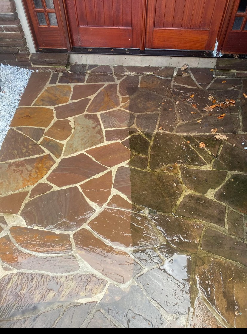 Stone pathway in front of a wooden door, with a mix of brown and greenish stones, some with moss or leaves.