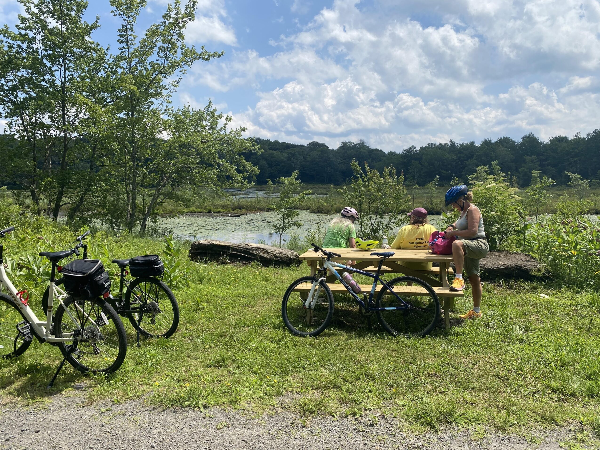 People sitting at a picnic table near a lake with bicycles nearby, trees, and a partly cloudy sky.