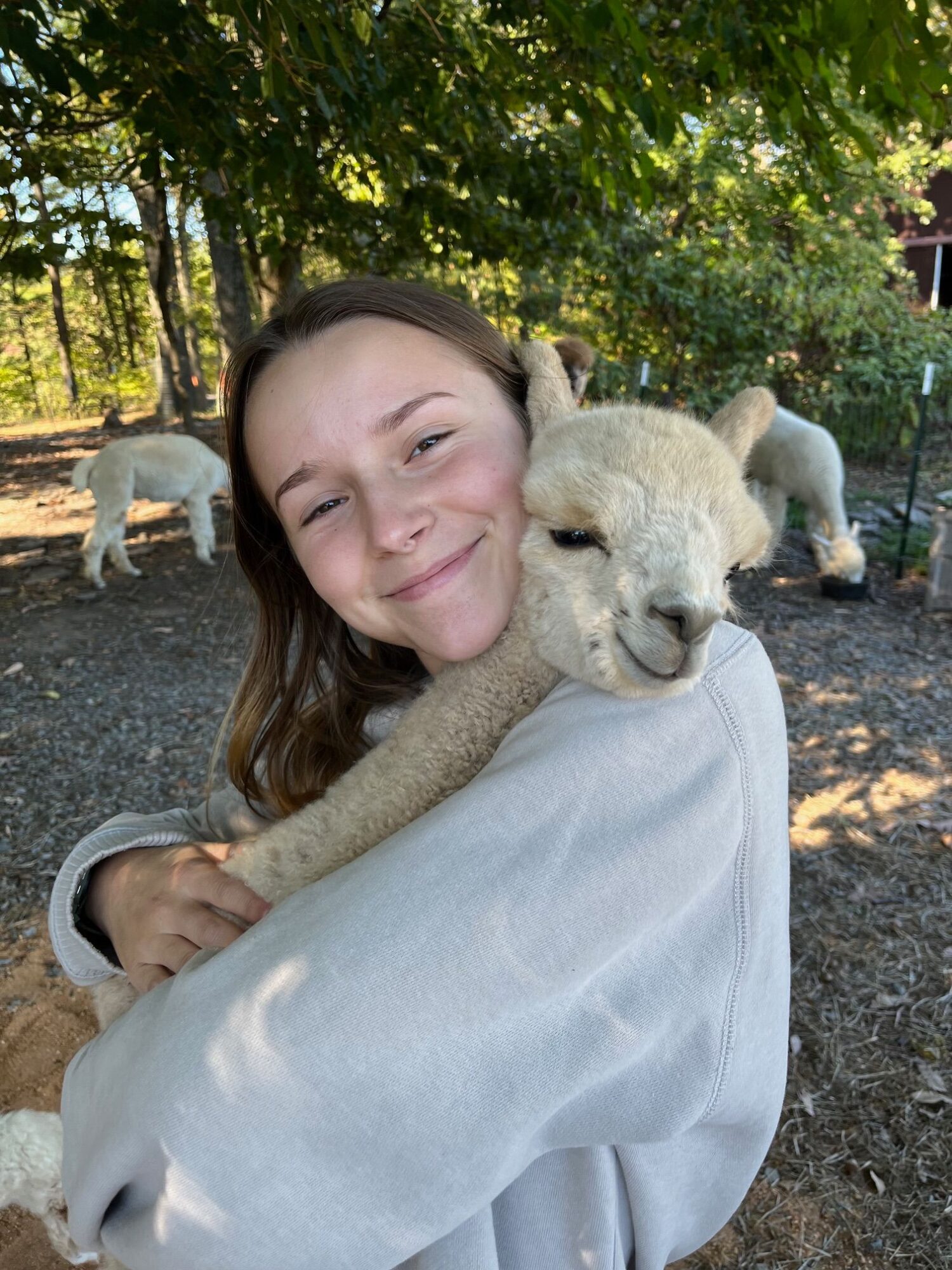 Person holding a lion cub outdoors with trees in the background, smiling at the camera.