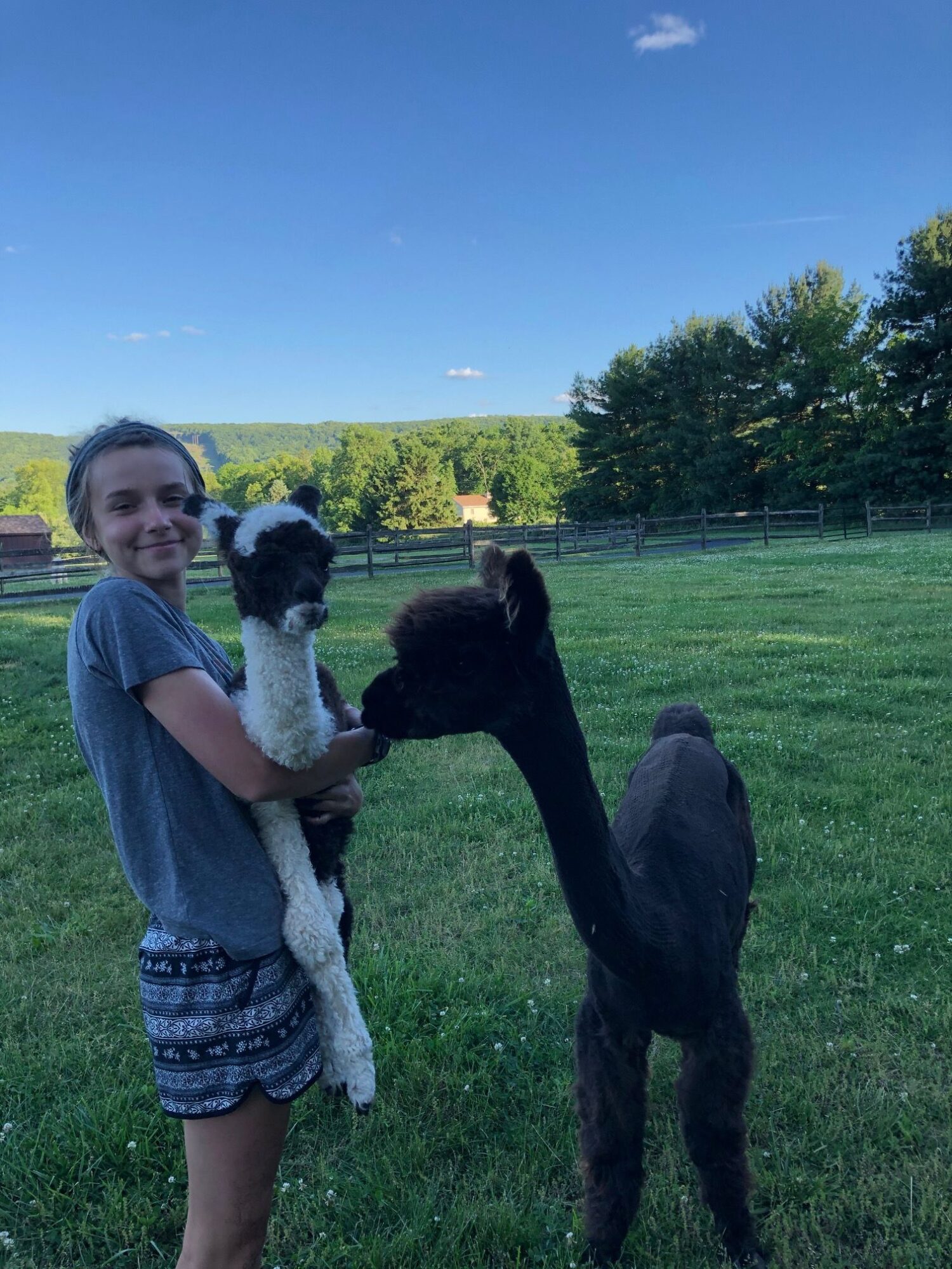 Person hugging a black and white dog in a grassy field with trees and blue sky.