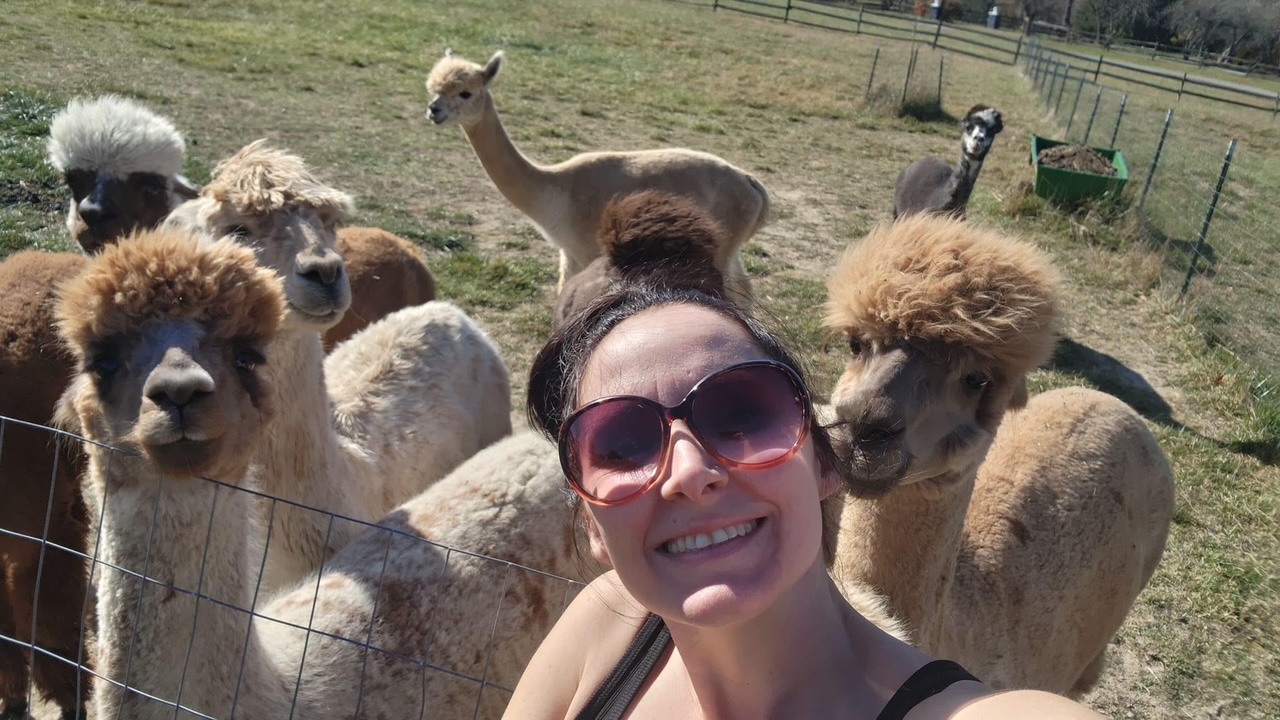 Person wearing sunglasses smiling with alpacas in a grassy field.