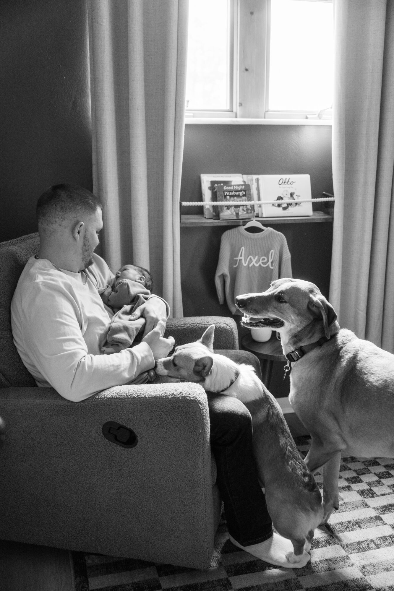 Person sitting on a couch holding a small dog, with a large dog sitting nearby, in a room with a window and curtains.