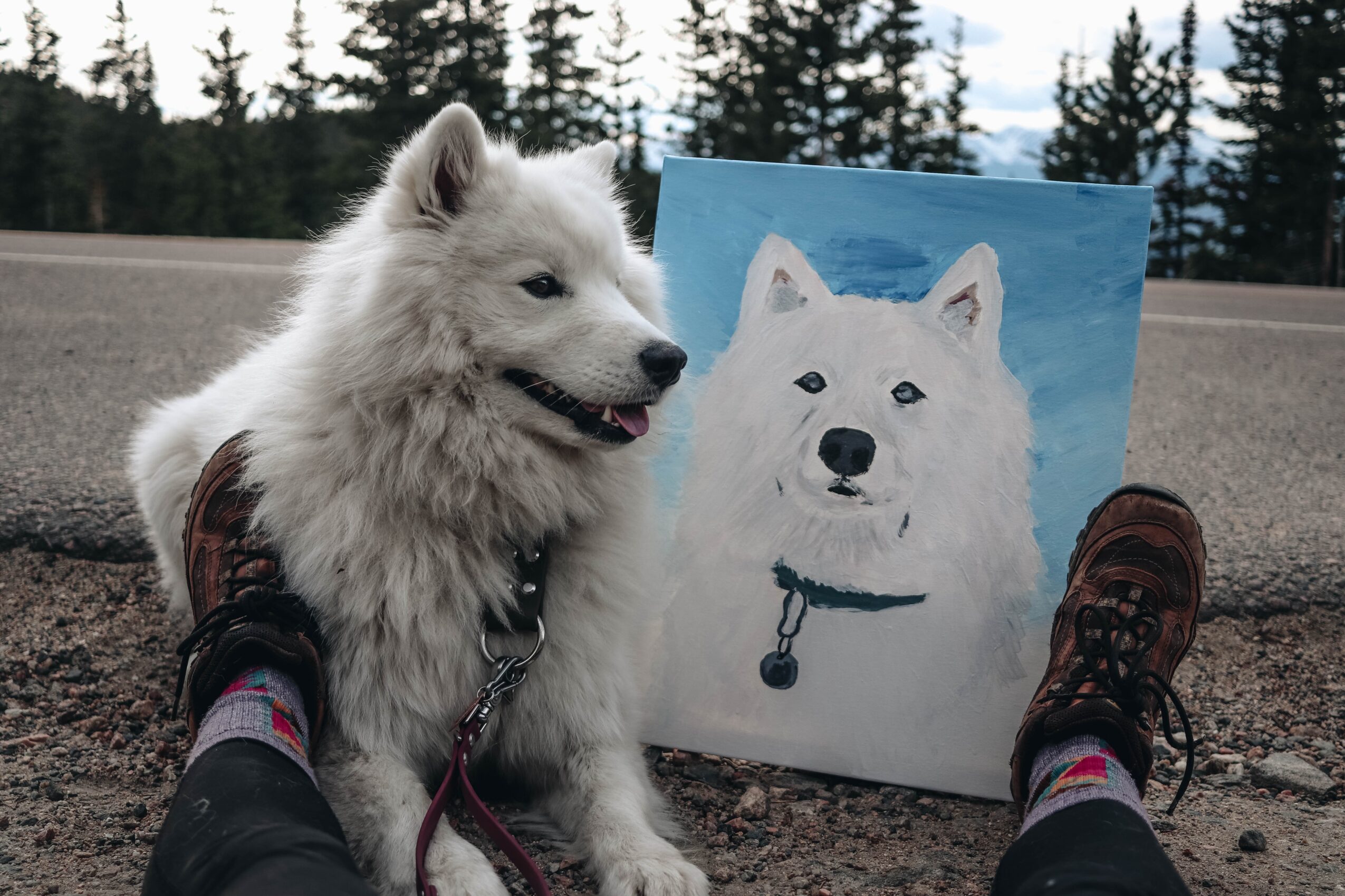 Person's legs and shoes with a fluffy white dog and a painting of a dog on the ground outdoors, trees in background
