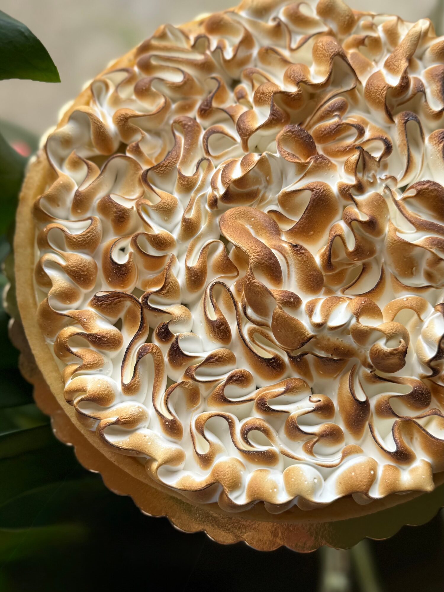 Close-up of a meringue dessert with toasted peaks, on a green background.