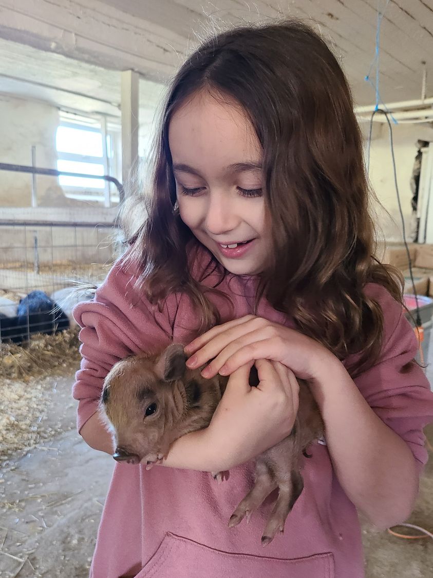 Young girl holding a small rabbit inside a barn, smiling and looking at the rabbit.