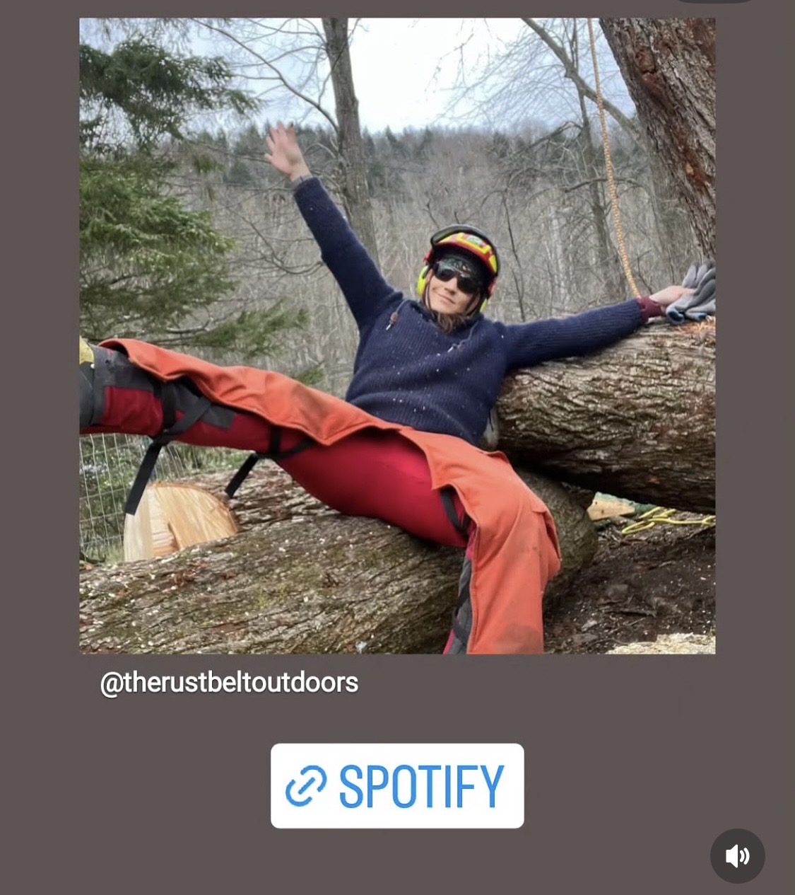 Person in outdoor gear sitting on fallen tree with arms raised, surrounded by trees and forest, outdoors, daytime.