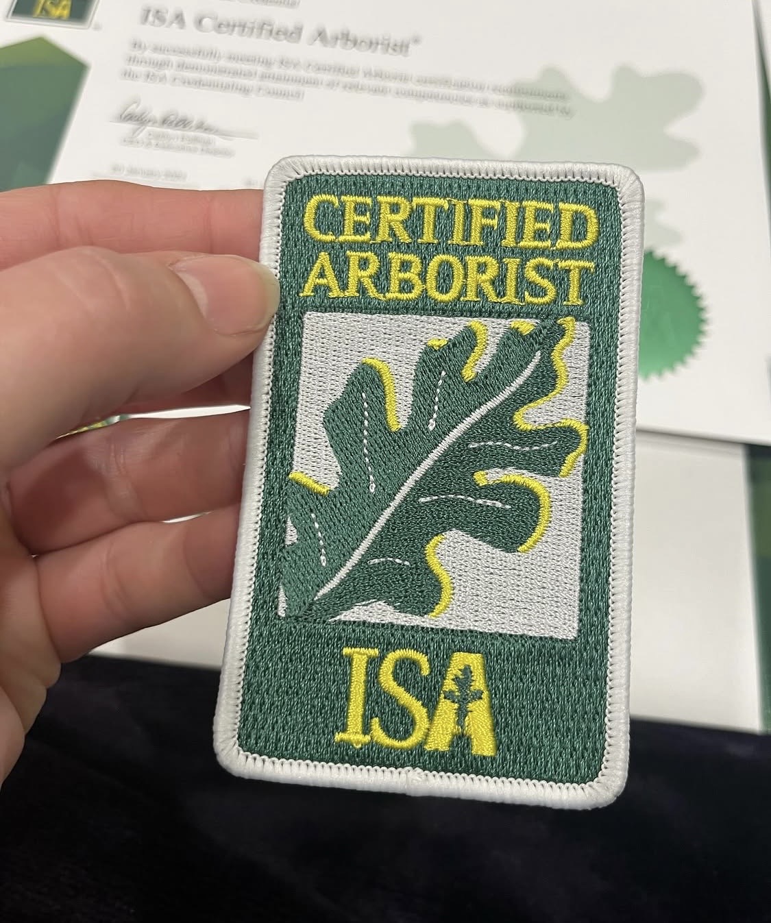 Hand holding a patch with green leaf design, yellow text 'CERTIFIED ARBORIST' and 'ISA', background with certificate.