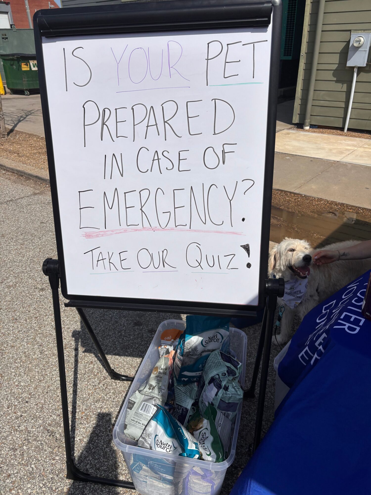 Whiteboard with handwritten question about emergency preparedness and a small dog sitting nearby, outdoors on a sunny day.