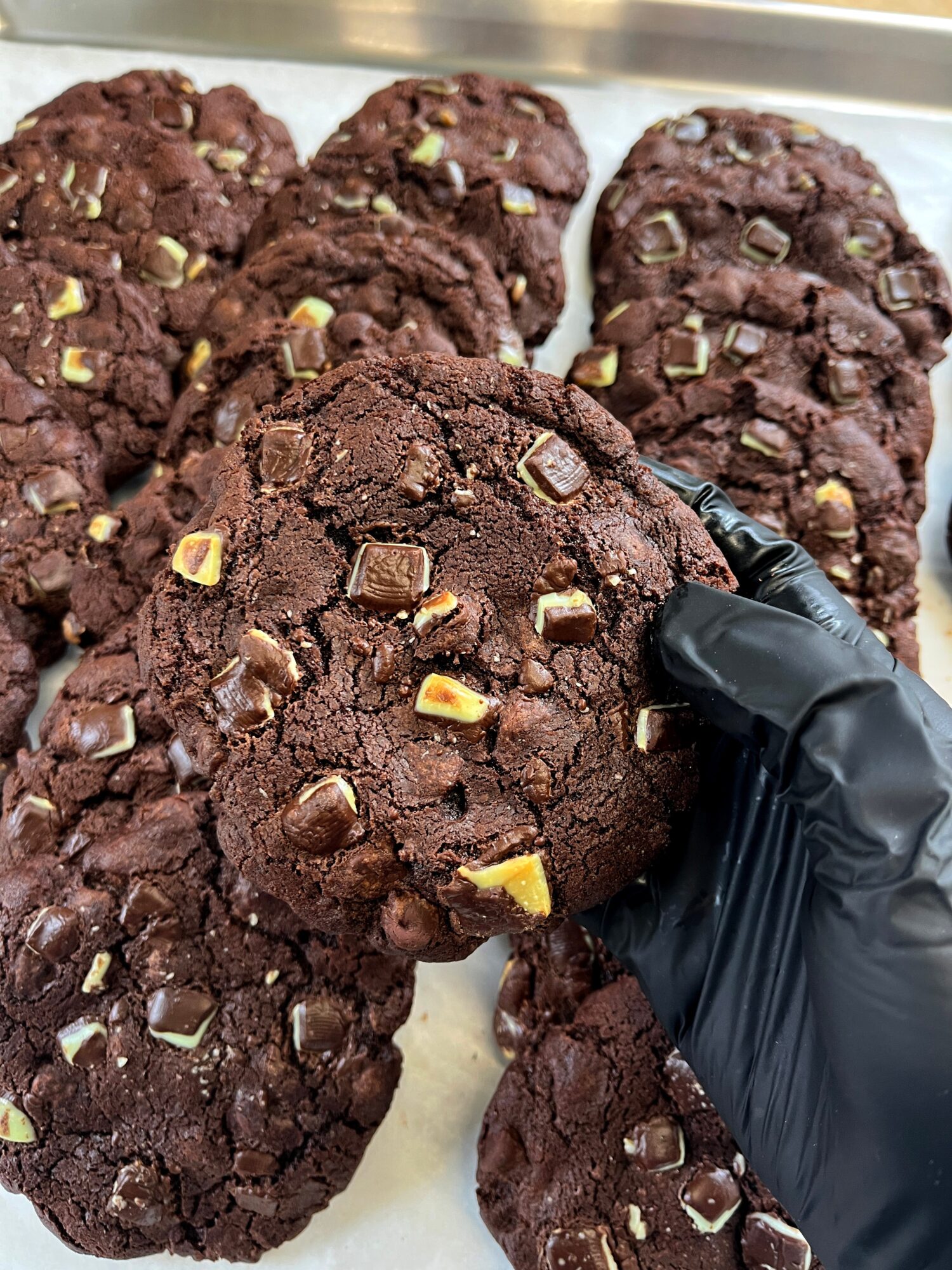 Close-up of chocolate cookies with chopped nuts, held by a hand in a black glove, on a tray.