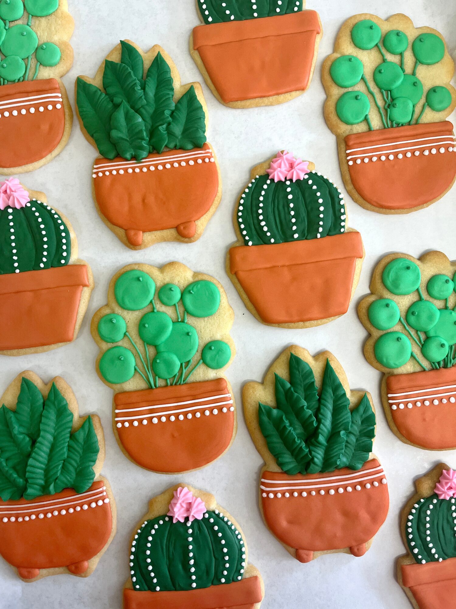 Decorative cookies shaped like potted cacti and succulents with green icing and pink flowers, arranged on a light background.