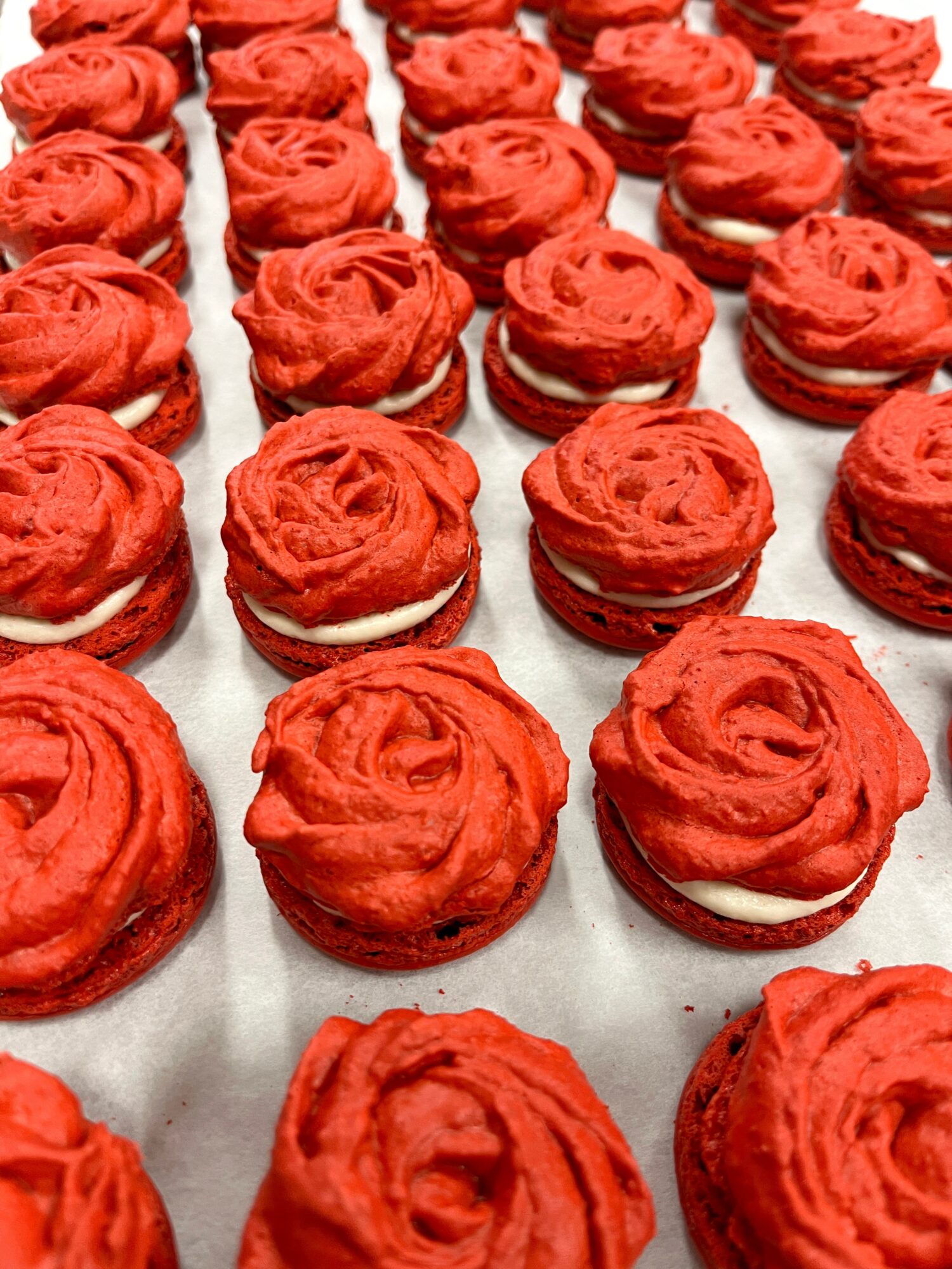 Multiple red cupcakes with swirled frosting arranged in rows on a white surface.