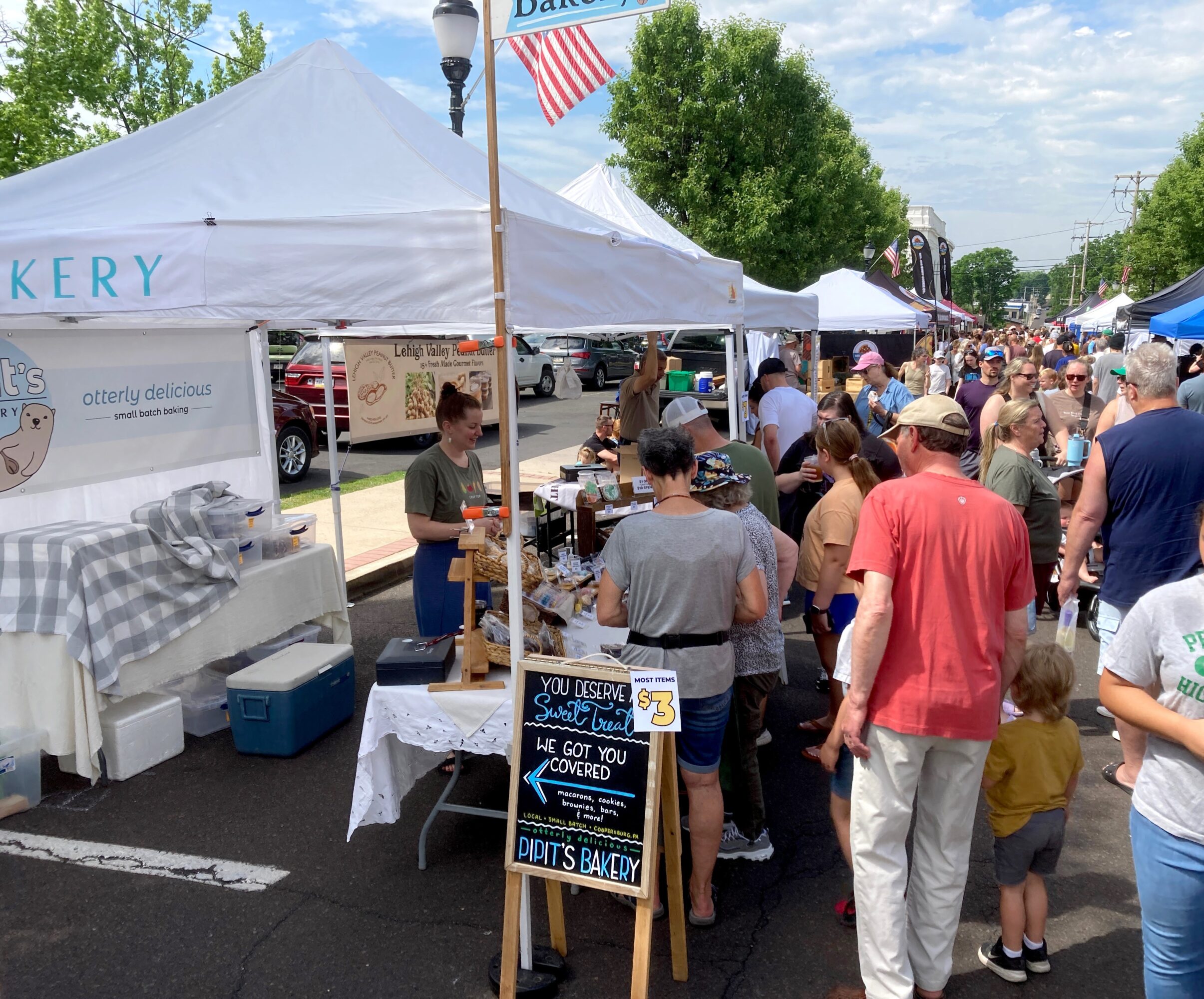 Crowd at outdoor market with tents, people shopping, and a blue sky with clouds.
