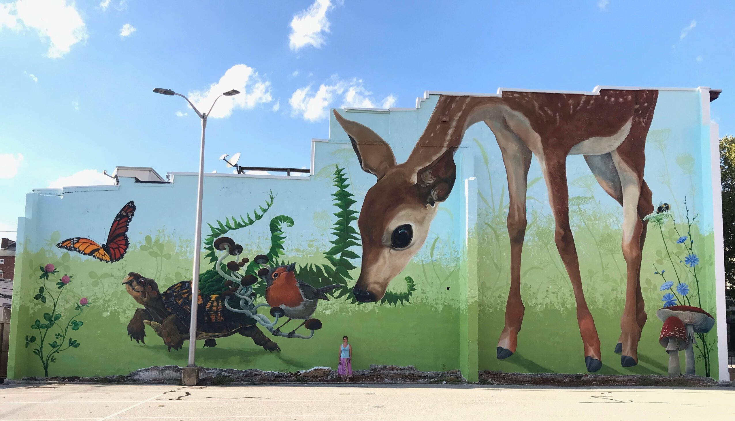 Mural depicting a giraffe, a butterfly, a skeleton, a dog, and a bird on a wall with a blue sky background.